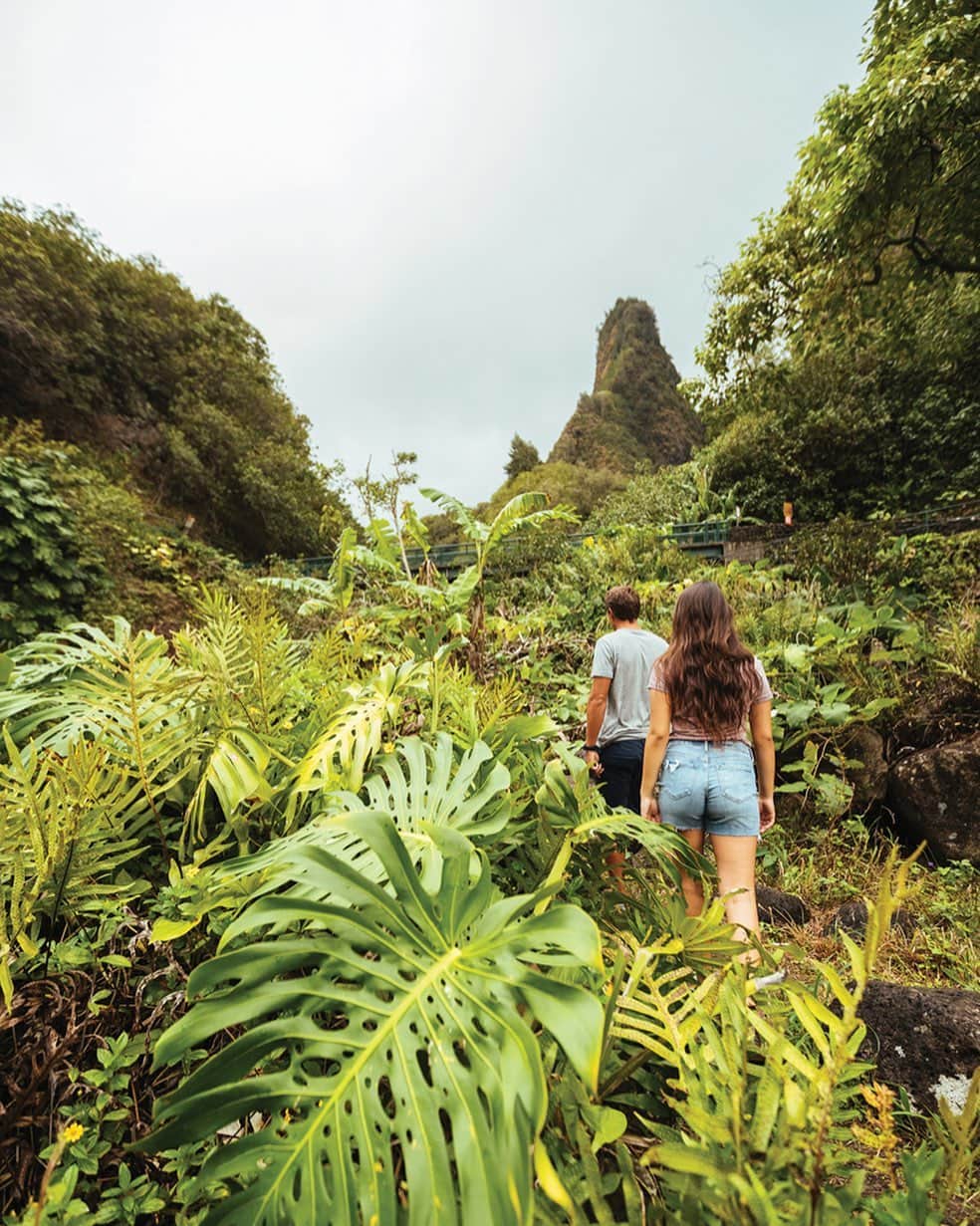 Instagenic Hawaiiのインスタグラム：「皆さま Aloha🌴  皆さまはハワイを訪れた際に必ず行く場所はありますか？  自然に囲まれたハワイで冒険気分を味わうならオアフ島だけでなく隣島を訪れてみてください🌿  マウイ島にあるイアオ渓谷は、マウイ島を代表する景勝地の１つであり、太平洋のヨセミテとも称されています⛰  大自然のパワーを感じることができるのもハワイの魅力の１つです✨  #ハワイ州観光局 #ハワイ #マウイ島 #ポノトラベラー #マラマハワイ #マラマ #ハワイ旅行 #ハワイ好き #ハワイライフ #hawaii #maui #hawaiitrip #iaostatepark #イアオ渓谷」