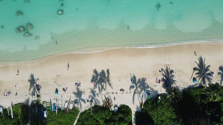 kawaiihawaiitourのインスタグラム：「ハワイの天国の海、ラニカイビーチ でのドローン動画の様子です！ハワイに早く来れると良いですね〜！少しでもハワイの雰囲気を味わってもらえたら嬉しいです！当社では、お客様が行きたいところを自由に選んでもらって好きなようにツアーが回れます‼️ --------------------------------------------------------- ❤️Kawaii Hawai'i Tour / カワイイ・ハワイ・ツアー ❤️✨🌈プラン🌈✨ (ハワイ州政府公認会社 PUC 497-C) ✔︎日本人経営 日本人ガイド付きツアーなので安心️🏝✨😎👍🏽 ✔︎あなただけのオリジナルツアーが作れます ✔︎初ハワイ満喫コース、オススメスケジュールご用意しています‼︎ ✔︎ガイドブック派？それともローカル体験派？ ✔︎なんでもご相談下さい 💁🏽‍♂️💁🏽☀️🏝✨😎👍🏽 ✔︎お写真もたくさんお撮りします🤳 ------------------------------------------------------ ✴︎今日の格言✴︎ 踏まれても叩かれても、努力さえしつづけていれば、必ずいつかは実を結ぶ(升田幸三) ------------------------------------------------------ お客様の笑顔が私達の笑顔をモットーにツアーをさせてもらっています🚙🚖🚘 --------------------------------------------------------  #ハワイ #hawaii #カイルアビーチ #ワイキキビーチ #卒業旅行 #ファインダー越しの私の世界 #ワイキキビーチ #ハワイ好き #ラニカイビーチ #天国の海 #カイルア　#ハワイ行きたい #ハワイツアー #オアフ島　#ホノルル #ハワイチャーターツアー  #ハワイ旅行  #ハワイ女子旅  #ハワイ好き 　#ドローン #ハワイ好きな人と繋がりたい #ハワイコロナ　#インスタ映え　  #ハワイ観光 #絶景  #ハレイワ  #オアフ島 #卒業旅行 #pillbox 　#ピルボックス　#ピンクピルボックス#pinkpillbox  #アウラニ」