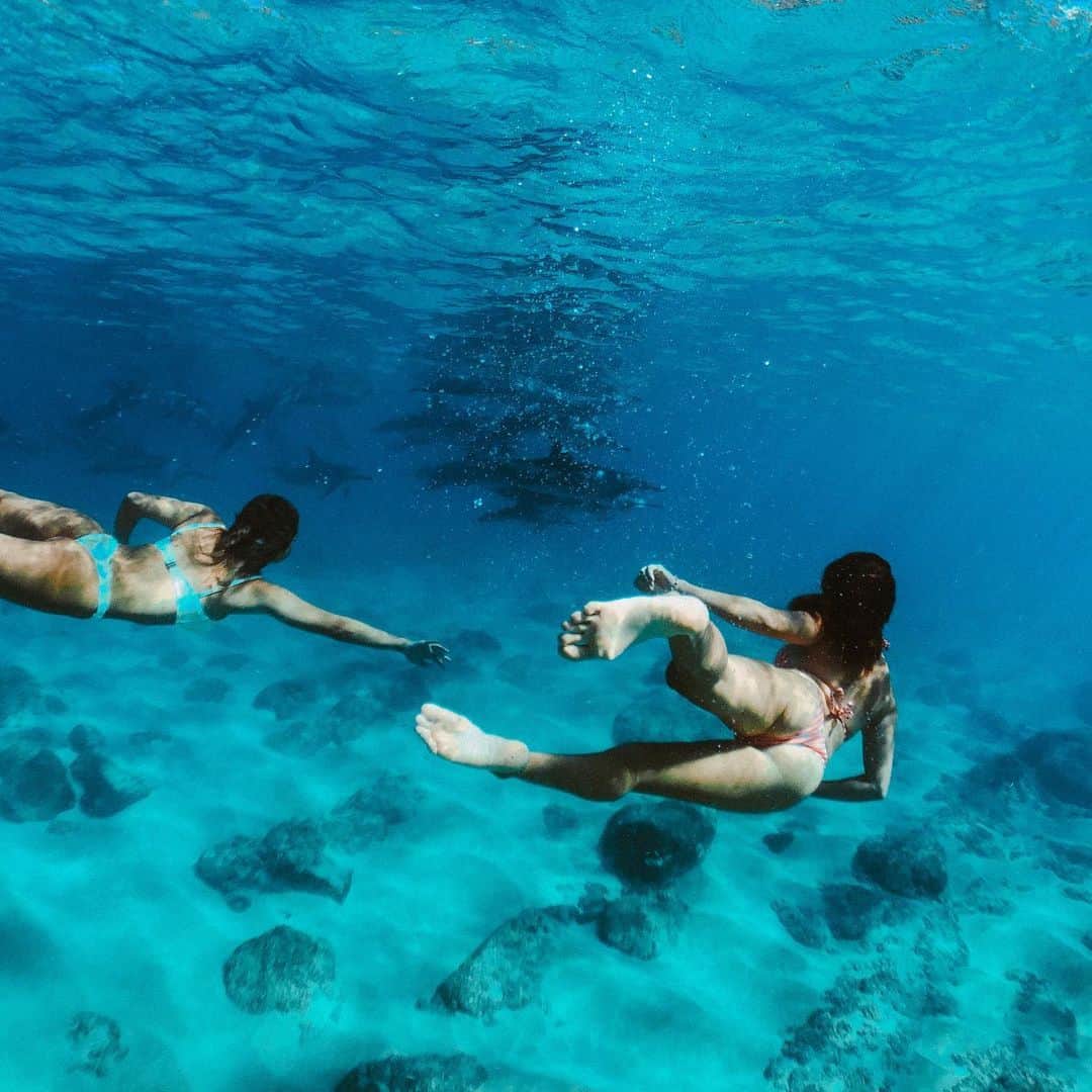 アリッサ ウーテンさんのインスタグラム写真 - (アリッサ ウーテンInstagram)「Magical Swims with Friends 🐬 @alessaquizon @haakeaulana」2月25日 12時28分 - alyssawooten