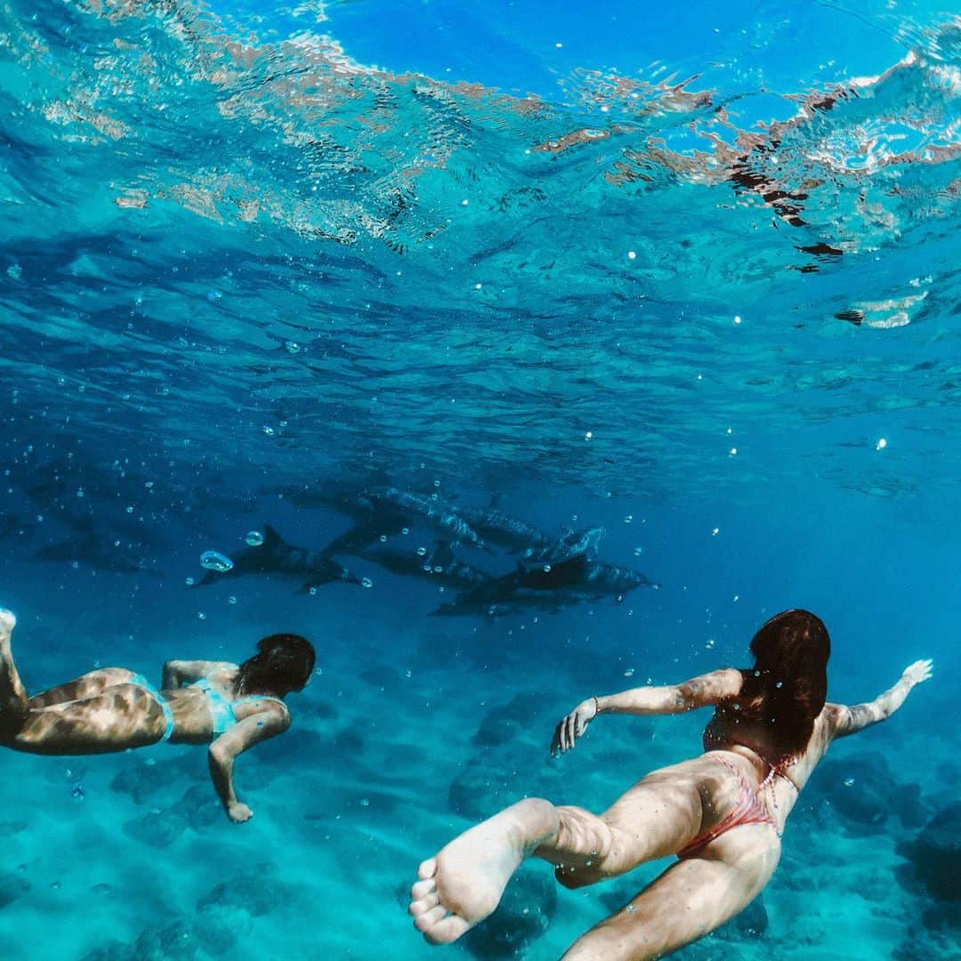 アリッサ ウーテンのインスタグラム：「Magical Swims with Friends 🐬 @alessaquizon @haakeaulana」