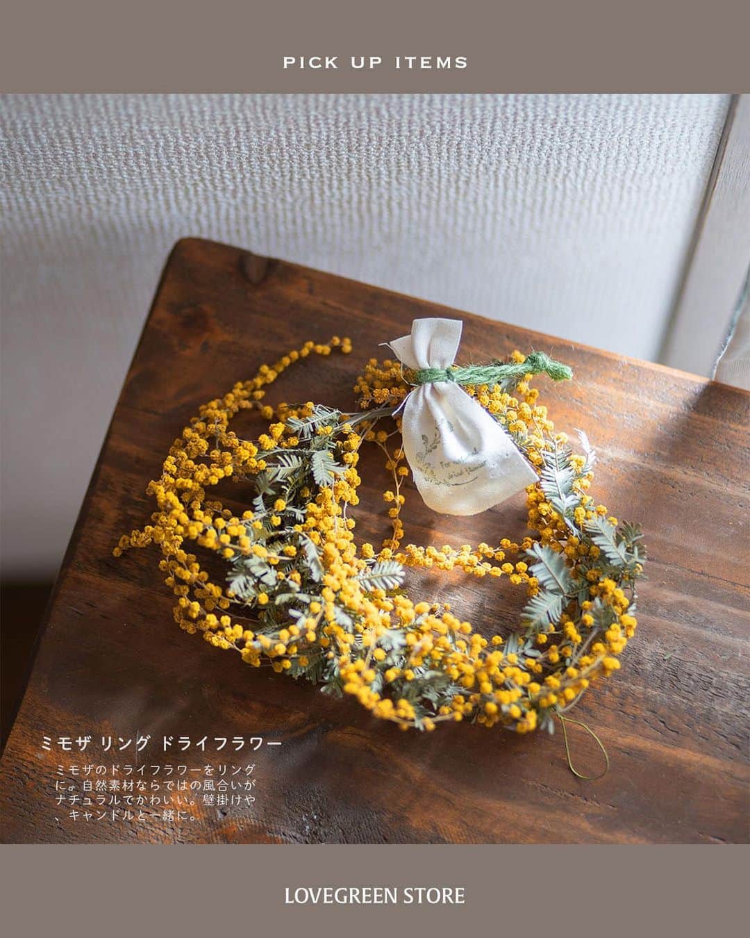 LOVEGREEN -植物と暮らしを豊かに。さんのインスタグラム写真 - (LOVEGREEN -植物と暮らしを豊かに。Instagram)「春らしいイエローで明るい雰囲気に！ ミモザのドライフラワー入荷しました  ーーーーーーーーーーーーーーーー 桜よりも一足先に春の訪れを告げてくれる花「ミモザ」 小さくてポンポンとしたミモザイエローのお花は、 みているだけで明るい気持ちにさせてくれます♪  そんなミモザのドライフラワーが入荷しました。 ・スワッグS ちょうどいいサイズのスワッグはお部屋にちょっと飾るのにぴったり。  ・スワッグL 存在感があってインテリアのキーポイントに！  ・ミモザリング 壁にかけてもいいし、キャンドルと一緒に飾ればインテリア小物として抜群！  ・アカシアドライ 定番のミモザのドライフラワー。さっと花瓶にさすだけでミモザを楽しめます。  お部屋に春をかざってみませんか？  プロフィールのリンクからも、お値段やサイズなど詳しい情報がご覧いただけます。 → @lovegreen_official」2月25日 21時53分 - lovegreen_official