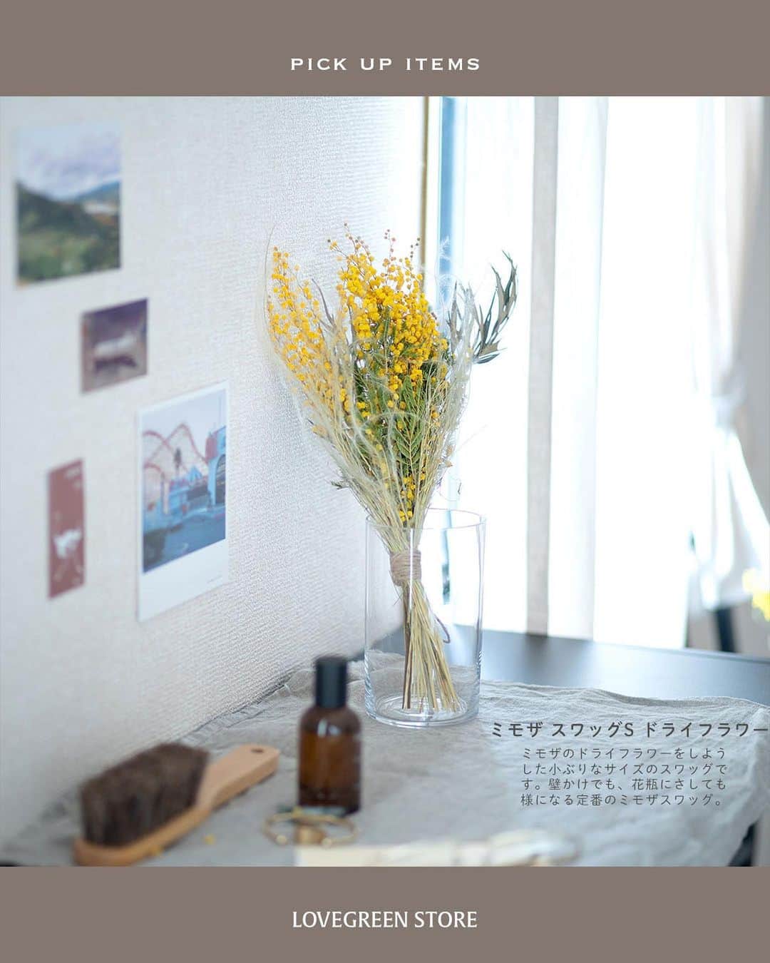 LOVEGREEN -植物と暮らしを豊かに。さんのインスタグラム写真 - (LOVEGREEN -植物と暮らしを豊かに。Instagram)「春らしいイエローで明るい雰囲気に！ ミモザのドライフラワー入荷しました  ーーーーーーーーーーーーーーーー 桜よりも一足先に春の訪れを告げてくれる花「ミモザ」 小さくてポンポンとしたミモザイエローのお花は、 みているだけで明るい気持ちにさせてくれます♪  そんなミモザのドライフラワーが入荷しました。 ・スワッグS ちょうどいいサイズのスワッグはお部屋にちょっと飾るのにぴったり。  ・スワッグL 存在感があってインテリアのキーポイントに！  ・ミモザリング 壁にかけてもいいし、キャンドルと一緒に飾ればインテリア小物として抜群！  ・アカシアドライ 定番のミモザのドライフラワー。さっと花瓶にさすだけでミモザを楽しめます。  お部屋に春をかざってみませんか？  プロフィールのリンクからも、お値段やサイズなど詳しい情報がご覧いただけます。 → @lovegreen_official」2月25日 21時53分 - lovegreen_official