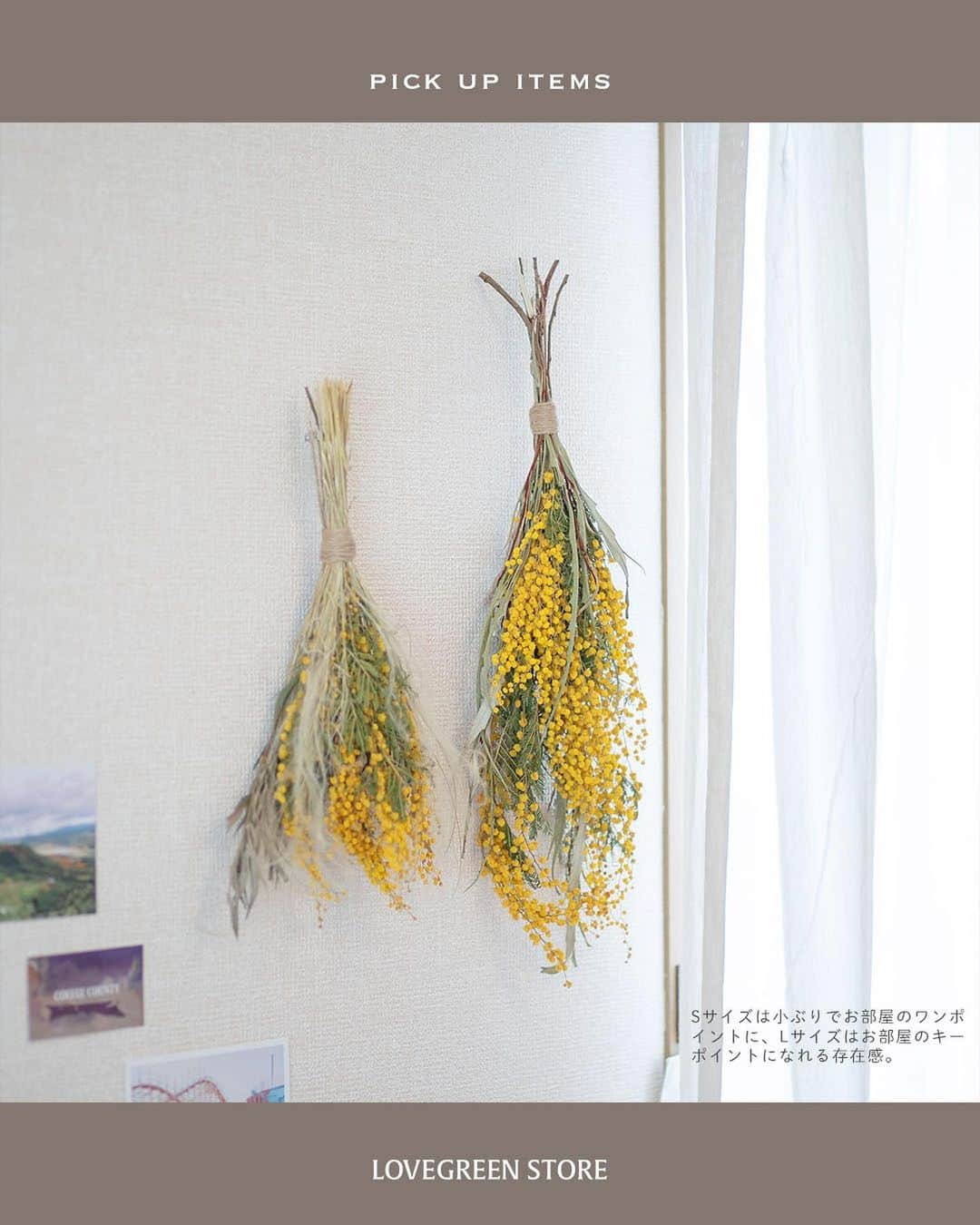 LOVEGREEN -植物と暮らしを豊かに。さんのインスタグラム写真 - (LOVEGREEN -植物と暮らしを豊かに。Instagram)「春らしいイエローで明るい雰囲気に！ ミモザのドライフラワー入荷しました  ーーーーーーーーーーーーーーーー 桜よりも一足先に春の訪れを告げてくれる花「ミモザ」 小さくてポンポンとしたミモザイエローのお花は、 みているだけで明るい気持ちにさせてくれます♪  そんなミモザのドライフラワーが入荷しました。 ・スワッグS ちょうどいいサイズのスワッグはお部屋にちょっと飾るのにぴったり。  ・スワッグL 存在感があってインテリアのキーポイントに！  ・ミモザリング 壁にかけてもいいし、キャンドルと一緒に飾ればインテリア小物として抜群！  ・アカシアドライ 定番のミモザのドライフラワー。さっと花瓶にさすだけでミモザを楽しめます。  お部屋に春をかざってみませんか？  プロフィールのリンクからも、お値段やサイズなど詳しい情報がご覧いただけます。 → @lovegreen_official」2月25日 21時53分 - lovegreen_official
