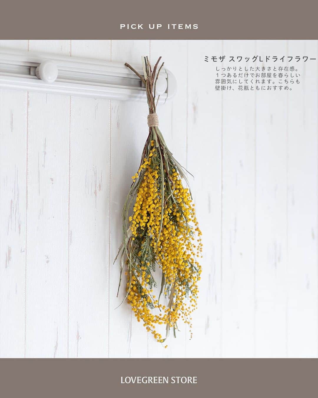 LOVEGREEN -植物と暮らしを豊かに。さんのインスタグラム写真 - (LOVEGREEN -植物と暮らしを豊かに。Instagram)「春らしいイエローで明るい雰囲気に！ ミモザのドライフラワー入荷しました  ーーーーーーーーーーーーーーーー 桜よりも一足先に春の訪れを告げてくれる花「ミモザ」 小さくてポンポンとしたミモザイエローのお花は、 みているだけで明るい気持ちにさせてくれます♪  そんなミモザのドライフラワーが入荷しました。 ・スワッグS ちょうどいいサイズのスワッグはお部屋にちょっと飾るのにぴったり。  ・スワッグL 存在感があってインテリアのキーポイントに！  ・ミモザリング 壁にかけてもいいし、キャンドルと一緒に飾ればインテリア小物として抜群！  ・アカシアドライ 定番のミモザのドライフラワー。さっと花瓶にさすだけでミモザを楽しめます。  お部屋に春をかざってみませんか？  プロフィールのリンクからも、お値段やサイズなど詳しい情報がご覧いただけます。 → @lovegreen_official」2月25日 21時53分 - lovegreen_official