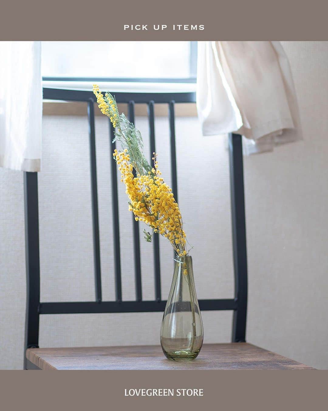 LOVEGREEN -植物と暮らしを豊かに。さんのインスタグラム写真 - (LOVEGREEN -植物と暮らしを豊かに。Instagram)「春らしいイエローで明るい雰囲気に！ ミモザのドライフラワー入荷しました  ーーーーーーーーーーーーーーーー 桜よりも一足先に春の訪れを告げてくれる花「ミモザ」 小さくてポンポンとしたミモザイエローのお花は、 みているだけで明るい気持ちにさせてくれます♪  そんなミモザのドライフラワーが入荷しました。 ・スワッグS ちょうどいいサイズのスワッグはお部屋にちょっと飾るのにぴったり。  ・スワッグL 存在感があってインテリアのキーポイントに！  ・ミモザリング 壁にかけてもいいし、キャンドルと一緒に飾ればインテリア小物として抜群！  ・アカシアドライ 定番のミモザのドライフラワー。さっと花瓶にさすだけでミモザを楽しめます。  お部屋に春をかざってみませんか？  プロフィールのリンクからも、お値段やサイズなど詳しい情報がご覧いただけます。 → @lovegreen_official」2月25日 21時53分 - lovegreen_official