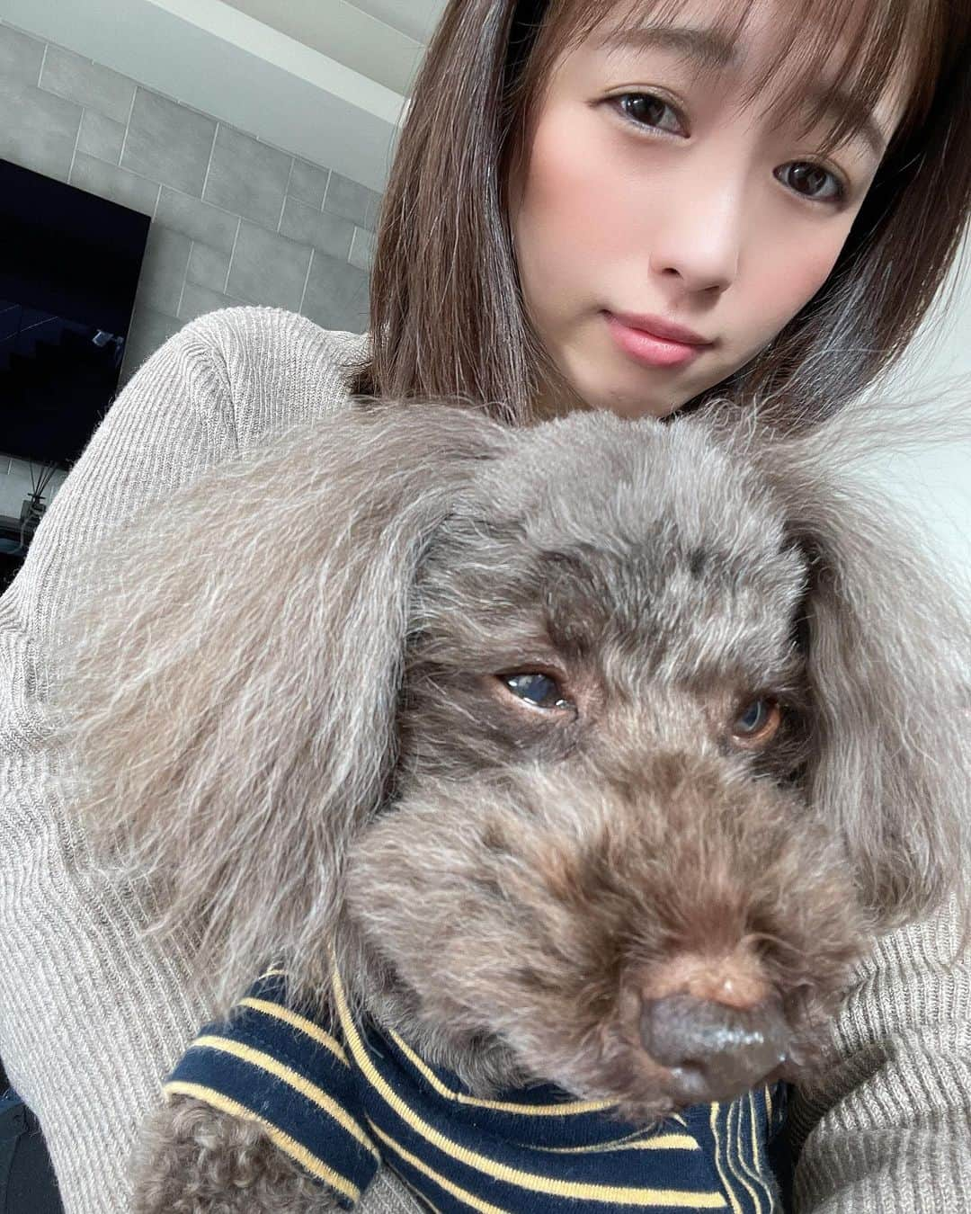 河野ひかるさんのインスタグラム写真 - (河野ひかるInstagram)「#同じ顔 #犬は飼い主に似る  #トイプードル #トイプー #トイプードル男の子」2月25日 22時05分 - kounohikaru29