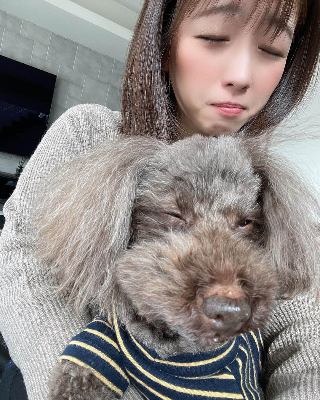 河野ひかるさんのインスタグラム写真 - (河野ひかるInstagram)「#同じ顔 #犬は飼い主に似る  #トイプードル #トイプー #トイプードル男の子」2月25日 22時05分 - kounohikaru29