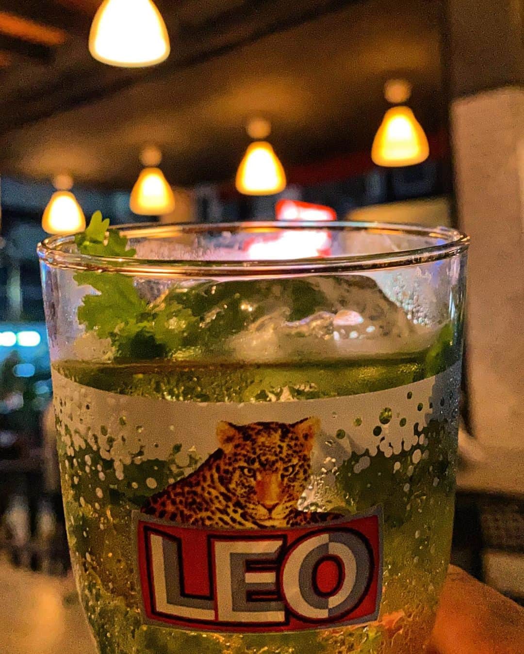 phantastic420のインスタグラム：「. #sawadeekrap 🙏🇹🇭 パクチー最&高🤣🍻🇹🇭 @leo 👍🍻🇹🇭」