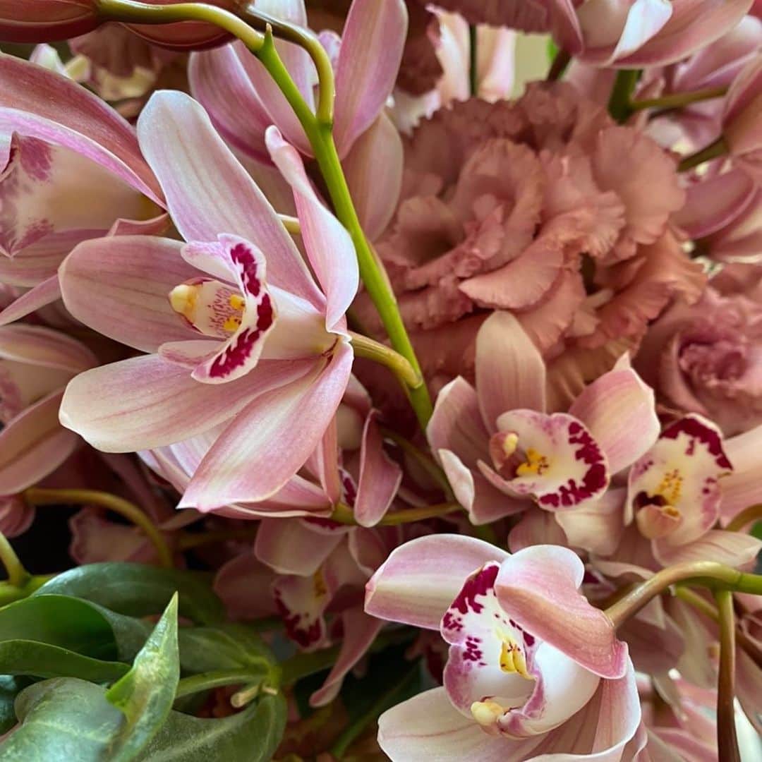 JUNOのインスタグラム：「何年経っても色褪せない品格と﻿ 現代の花嫁にふさわしいモダンさ﻿ ﻿ どちらか、ではなく﻿ どちらもを併せ持つドレスこそ﻿ 私たちが心からおすすめしたいドレスです。﻿ ﻿ それこそが、今の自分を最大限に輝かせ﻿ そして未来にもずっと心の中に﻿ 自信と糧となって残るドレスだと思うのです。﻿ ﻿ 時代は変わりますが、﻿ 美しい花嫁姿の自分が、﻿ 未来の自分に与えてくれる大切なものは﻿ この先も変わらないと 私たちは信じています🕊 ﻿ ﻿ ﻿ ﻿ #inesdisanto﻿﻿ #MARCHESA﻿﻿ #antonioriva﻿﻿ #naeemkhan﻿﻿ #inmaculada﻿﻿ #kennethpool﻿﻿ #zacposen﻿﻿ #juno﻿﻿ #junowedding﻿﻿ #wedding﻿﻿ #weddingdress﻿﻿ #viktorandrolf ﻿﻿ #ジュノ﻿﻿ #ウエディング﻿﻿ #ウェディング﻿﻿ #ウエディングドレス﻿﻿ #ウェディングドレス﻿﻿ #ドレス﻿﻿ #プレ花嫁﻿﻿ #2021春婚﻿﻿ #2021夏婚﻿﻿ #2021秋婚﻿﻿ #福岡花嫁﻿﻿ #東京花嫁﻿﻿ #九州花嫁﻿﻿ #関東花嫁﻿﻿ #神社挙式﻿﻿ #神前式」