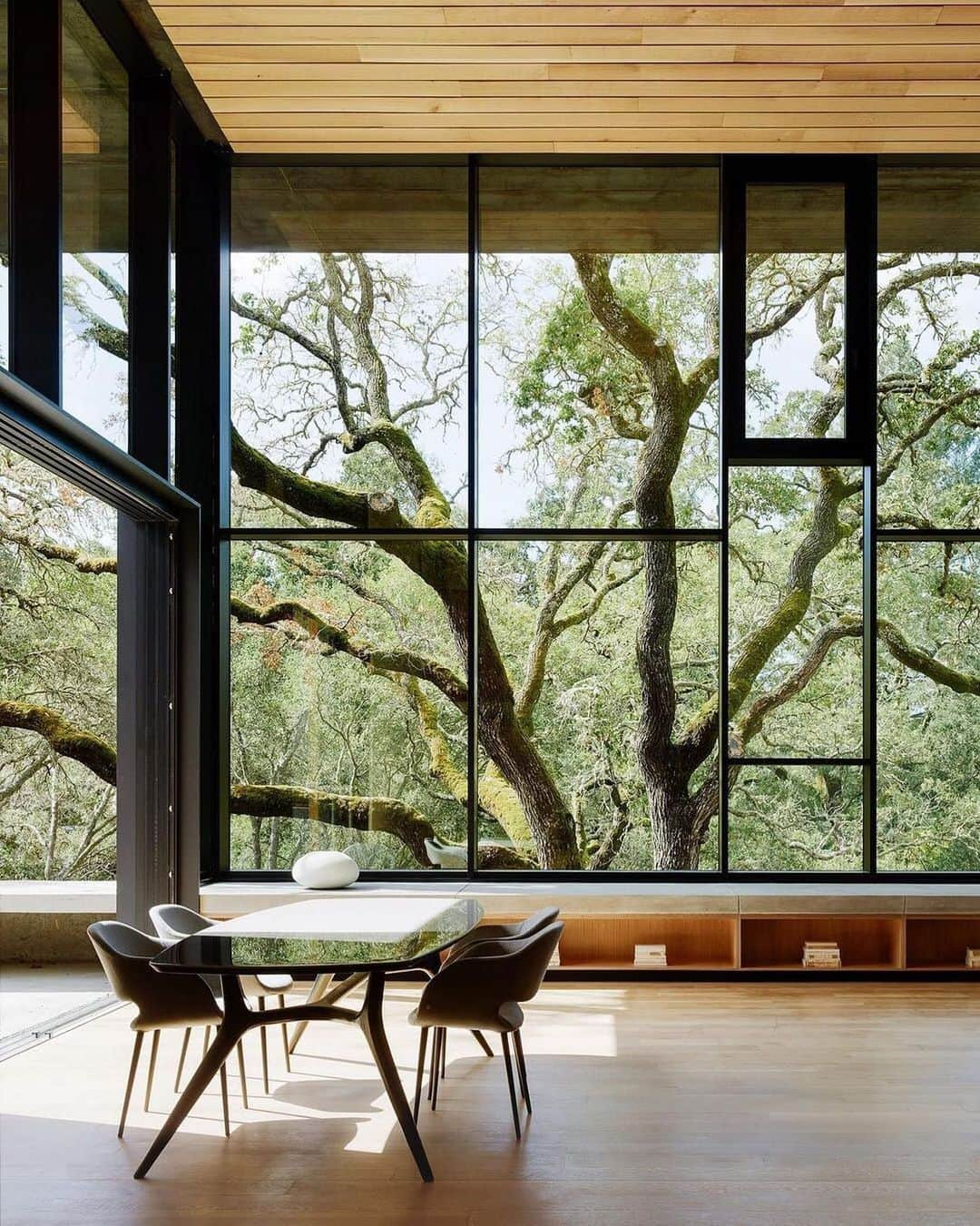 AnOther Magazineさんのインスタグラム写真 - (AnOther MagazineInstagram)「#GorgeousGardens – a lusciously green view from Miner Road House by Faulkner Architects, Orinda, California 🌳⁠⁠ ⁠⁠ RG @1960bham 🔁」2月25日 22時57分 - anothermagazine