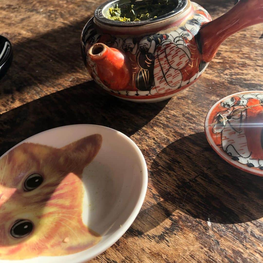町田康のインスタグラム：「この方式でいてこます。」