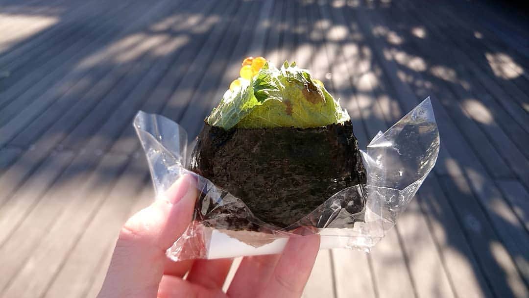 のインスタグラム：「山のかたち＼(^^)／🗻🗻🗻🍀✨  海苔も巻いてあってノリノリです🍀」