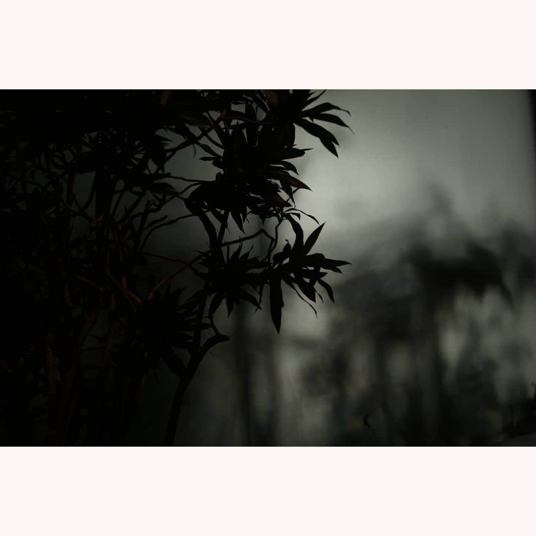 花澄のグルメインスタ