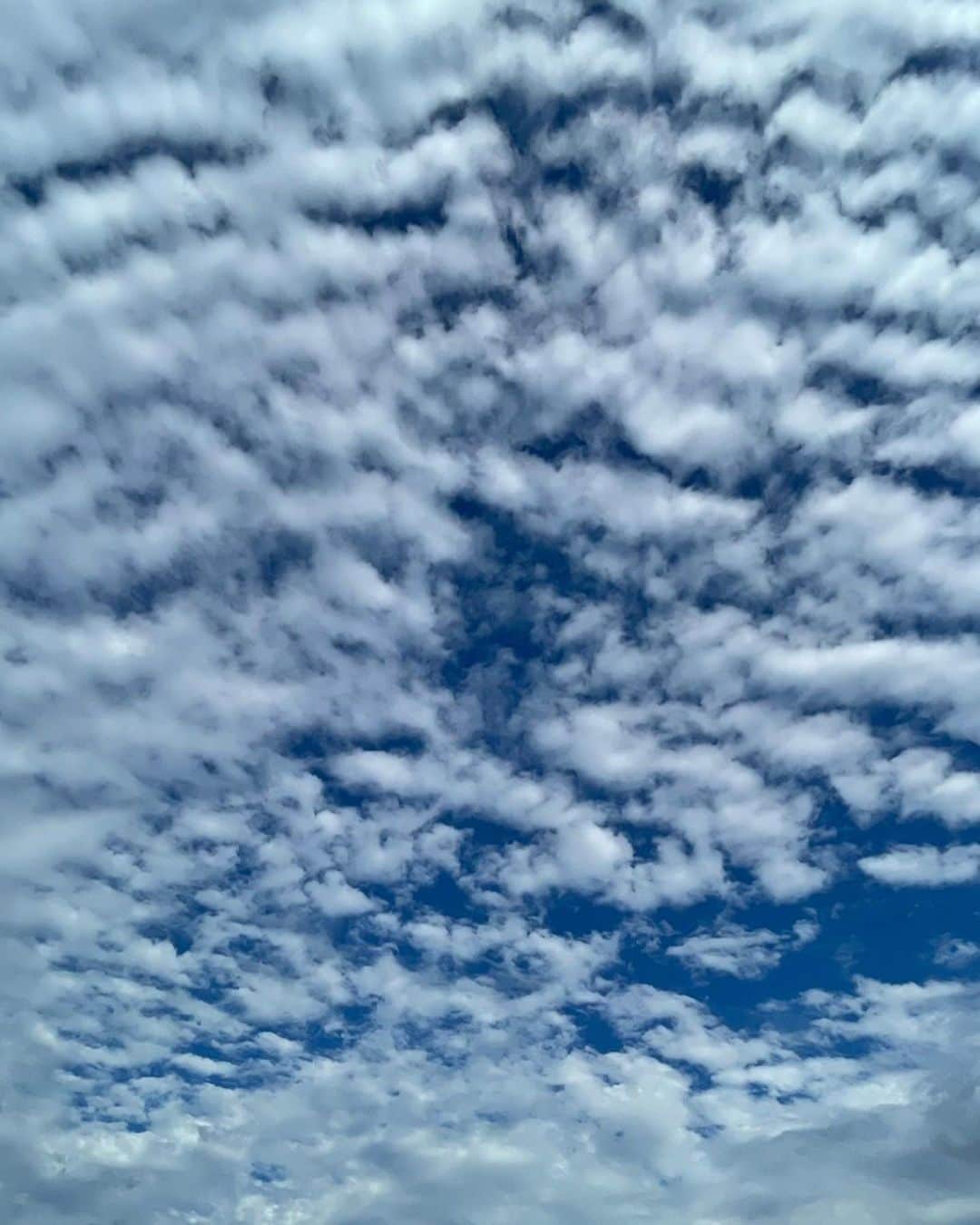 高木万平・心平さんのインスタグラム写真 - (高木万平・心平Instagram)「この自然を眺めてるだけで、悩みとか吹っ飛んでパワーが湧いてくる👊  #宮古島」2月25日 14時45分 - man_shin_takagi