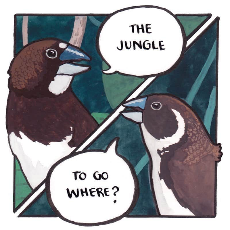 9GAGさんのインスタグラム写真 - (9GAGInstagram)「Where are we now?  Follow @doodles - By @falseknees - #comics #doodles」2月25日 15時28分 - 9gag