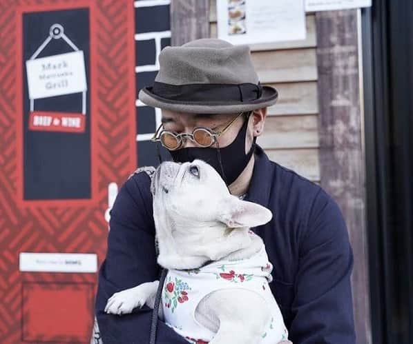 Ham-chanのインスタグラム：「#frenchbulldog #frenchie #hamham #rigards #hamchan #フレブル #フレンチブルドッグ #paulharnden #はむはむ #はむちゃん  別カットもありがとうございます。 @tokyo_dog_snap」