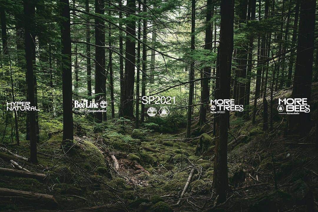 のインスタグラム：「. More Trees. More Bees.  Bee Line x @timberland  2.26.21」