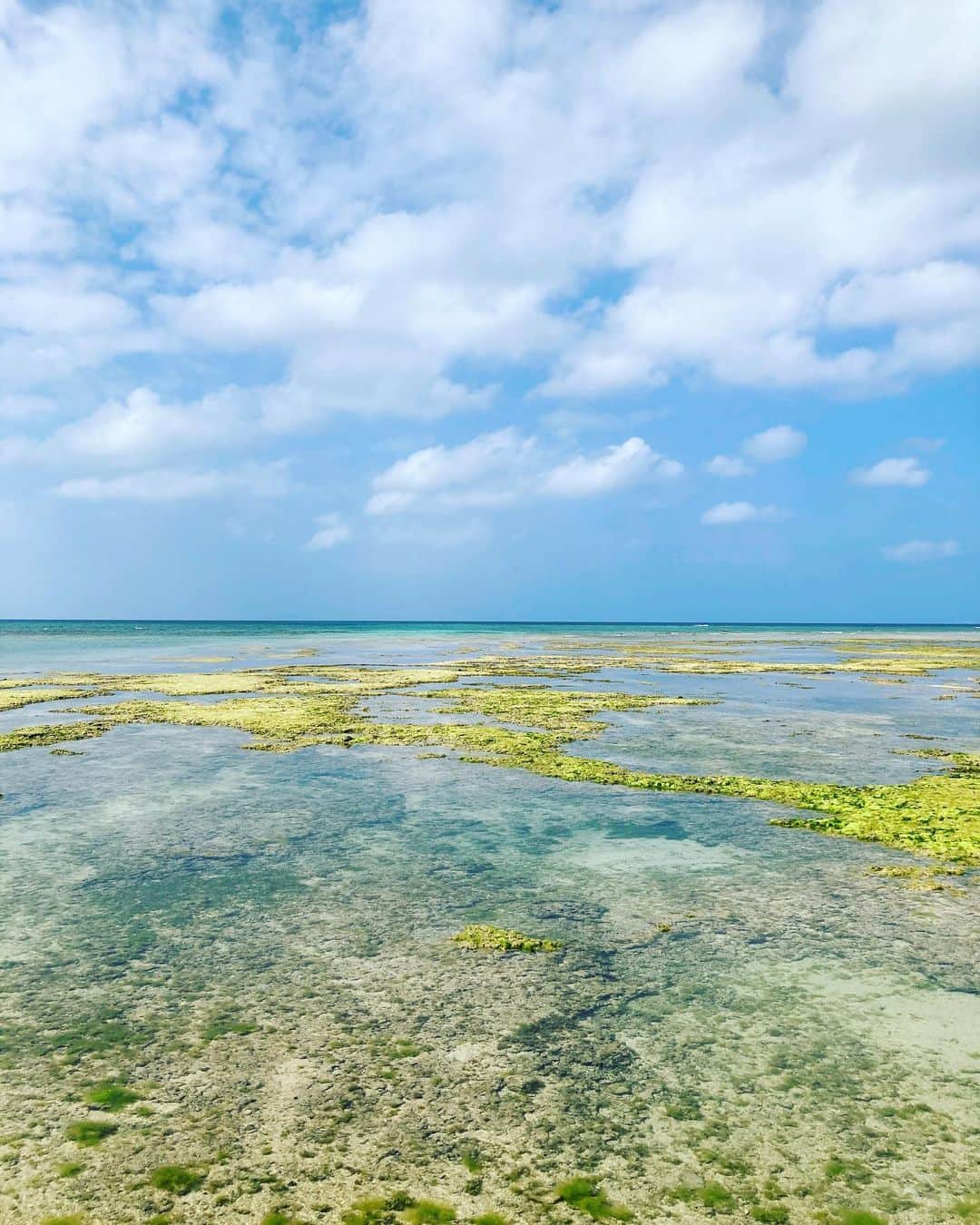 セソコマサユキのグルメインスタ