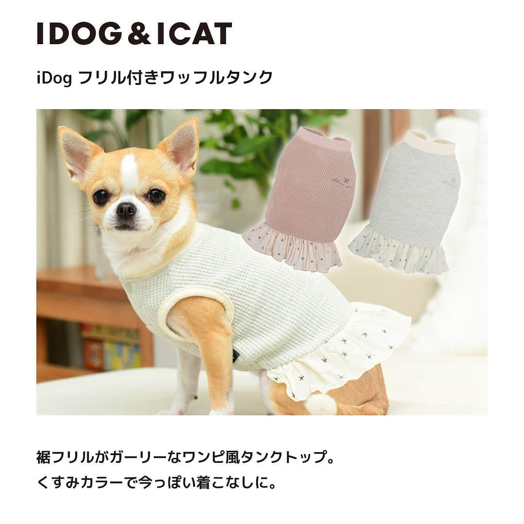 iDog&iCatさんのインスタグラム写真 - (iDog&iCatInstagram)「IDOG&ICATでは続々と新作春夏ウェアを販売しております。 本日はその中から「フリル付きワッフルタンク」をご紹介します♪  ワッフル素材を使用した、ガーリーなワンピ風タンクトップです。 春らしいくすみピンクやグレーかかったホワイトで、今時のカラーを先取り！  裾には星が散りばめられたシフォンフリルをあしらいました。 ワッシャー加工の生地にさらにギャザーを寄せて、女の子らしいデザインに仕上げました。 さりげない肩の刺繍がポイントです。  首周りはフライス付け、袖口はバインダー処理で仕上げました。 首元はプランサーボタンで開閉可能なので、お洋服が初めての子にも着せやすいです。  前裾にはゴムを入れ、着せた時にズレにくく、フィット感がでてラインがキレイになります。  商品番号/14613- 商品名/iDog フリル付きワッフルタンク 2,398円(税込) ピンク/ホワイト  #iDog #iDogiCat #iCat #ペット服 #ドッグウェア #新作 #犬服 #犬の服 #犬の服iDog #犬 #猫 #超小型犬 #小型犬 #中型犬 #うちの子優勝 #猫の服iCat #猫 #わんすたぐらむ #dog #にゃんすたぐらむ #cat #チワワ #トイプードル #ダックス #フレンチブルドッグ #ボストンテリア #MIX猫」2月25日 16時22分 - idogicat