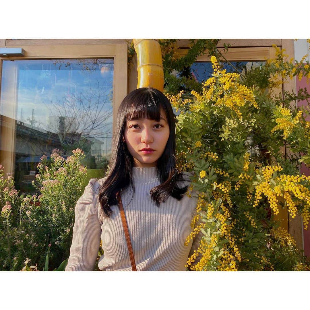 工藤綾乃のインスタグラム：「感謝 私に携わる人全てに改めて感謝しなきゃなと感じる日々。 ミモザの花言葉を調べたら感謝と出てきました。みんなありがとう🥺❤️」