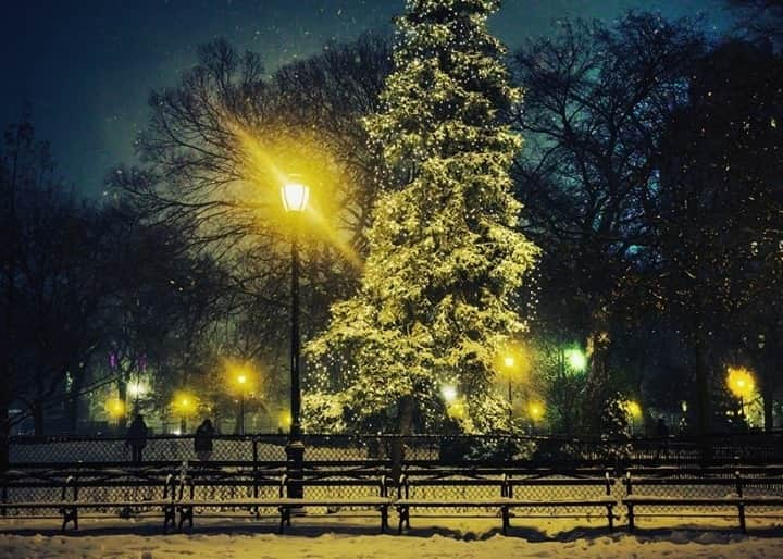 National Geographic Travelさんのインスタグラム写真 - (National Geographic TravelInstagram)「Photo by @dina_litovsky / The first snowstorm of the season covers Tompkins Square Park in the East Village, New York City. For more images of the metropolis at night, follow me @dina_litovsky.」2月25日 16時39分 - natgeotravel