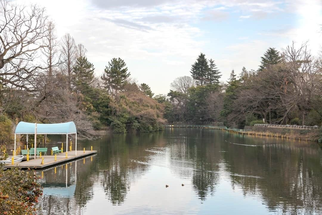 東京都庁広報課さんのインスタグラム写真 - (東京都庁広報課Instagram)「「武蔵関公園 Musashiseki park(2021.1.22撮影)」最寄り駅：東伏見駅 #武蔵関　#東伏見  #公園　#西武新宿線　#西東京市　#西武線　#池のある公園 #tokyotokyo #tokyogram #moodygrams #jp_gallery #ptk_japan #gdayjapan #realtokyo #beautifuldestinations #tokyojapan #instatokyo #loves_nippon #phos_japan #bestjapanpics #cooljapan #japan_of_insta #photo_jpn #illgrammers #景色 #東京 #Tokyo #东京 #도쿄 #tokyogood」2月25日 17時01分 - tocho_koho_official