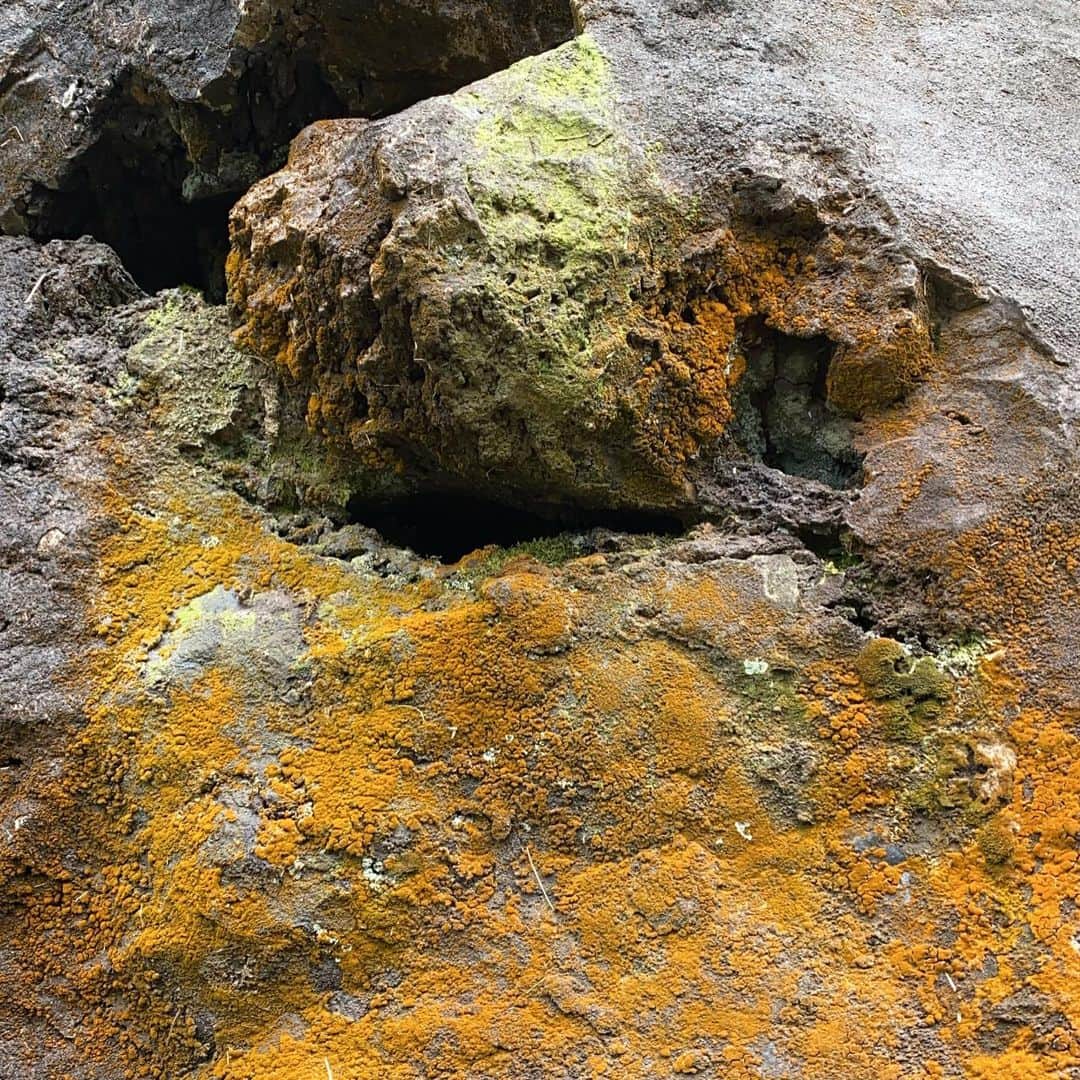 エディ・ポンのインスタグラム