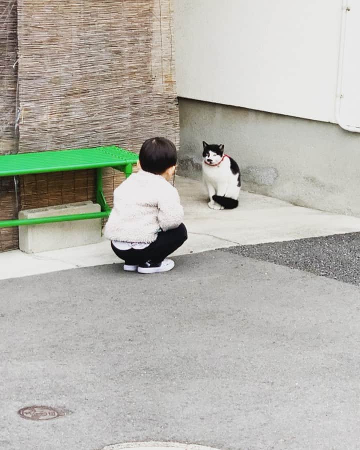 のインスタグラム：「息子と猫の睨めっこ🐈  うーちゃんが興味あったのは最初の5秒…😅🐶  #dtのオフ」