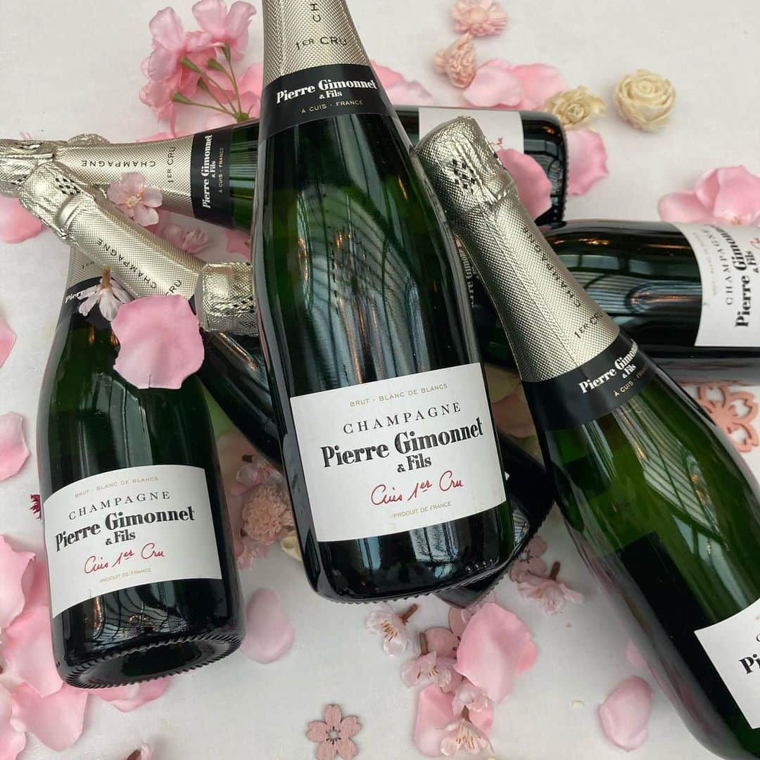 ステラートのグルメインスタ