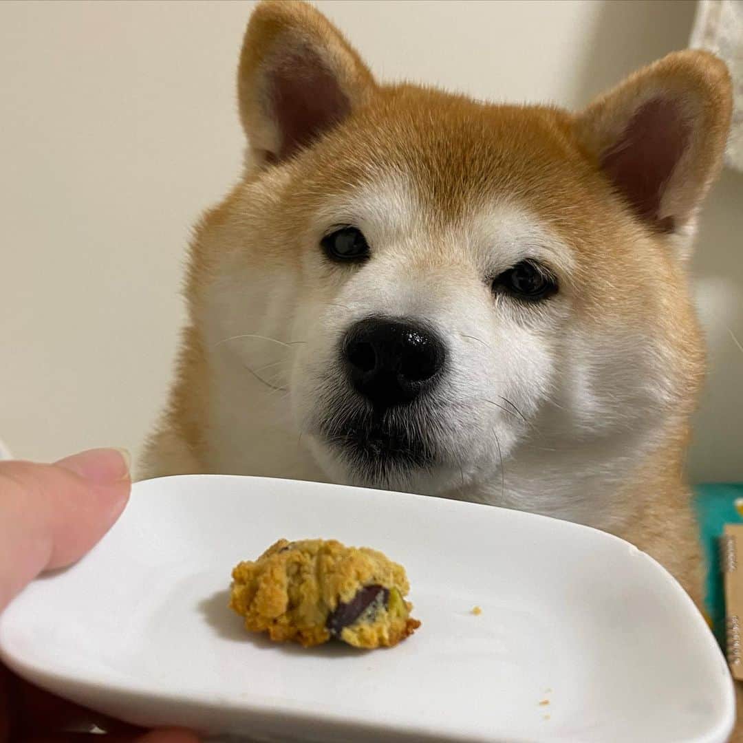 いなりのインスタグラム