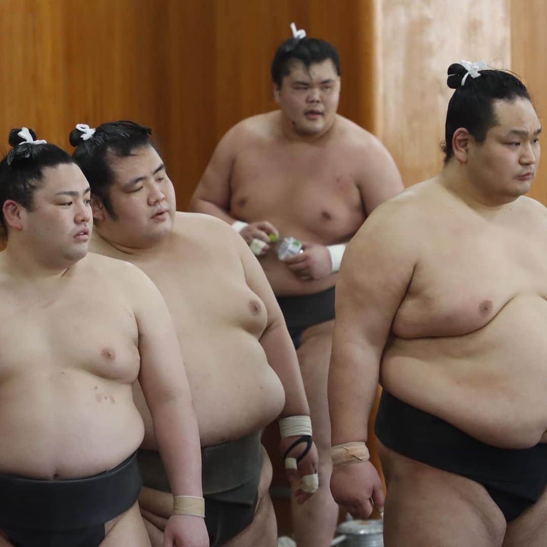 日本相撲協会さんのインスタグラム写真 - (日本相撲協会Instagram)「本日も相撲教習所で合同稽古が行われ、全日程が終了しました。  大相撲三月場所は、両国国技館にて3月14日（日）から始まります！  @sumokyokai #大相撲 #sumo #相撲 #力士 #お相撲さん #japanphoto #sumowrestlers #japanculture #cooljapan #白鵬 #髙安 #若隆景 #阿武咲 #霧馬山 #逸ノ城 #若元春 #東龍 #錦木  #北磻磨 #狼雅 #荒篤山 #若山 #宝香鵬 #塚原 #魁勝 #彩の湖 #若隆元」2月25日 17時49分 - sumokyokai