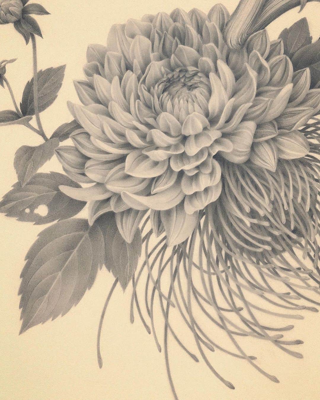 おざぶのインスタグラム：「detail」