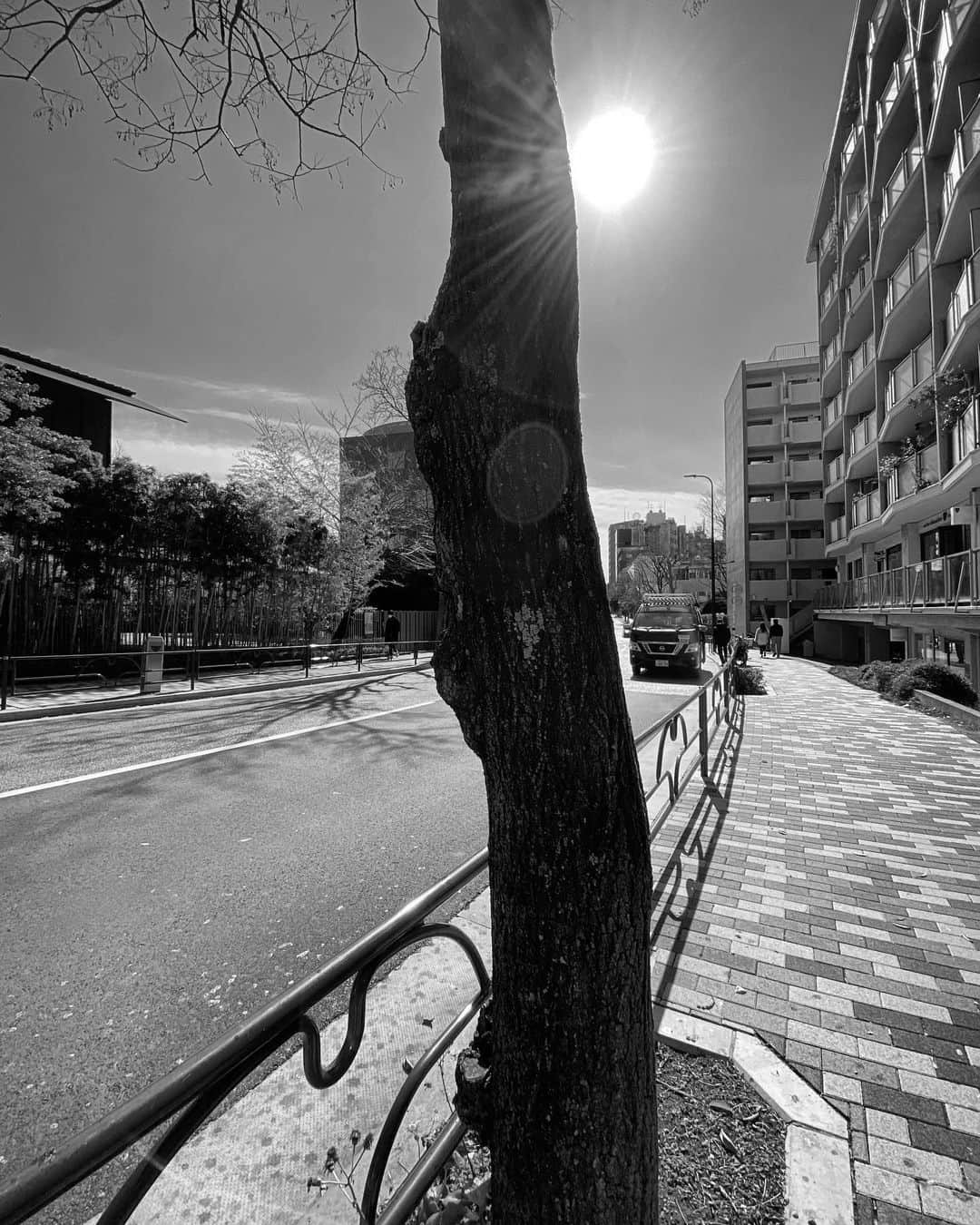 宍戸開さんのインスタグラム写真 - (宍戸開Instagram)「#monochrome #bw #bnw #streetphotography #storyofthestreet #streetoftokyo #streetcinematography #iphone11pro #photography #photographer #kaishishido #photooftheday #bnwp_2021」2月25日 18時08分 - kaishishido