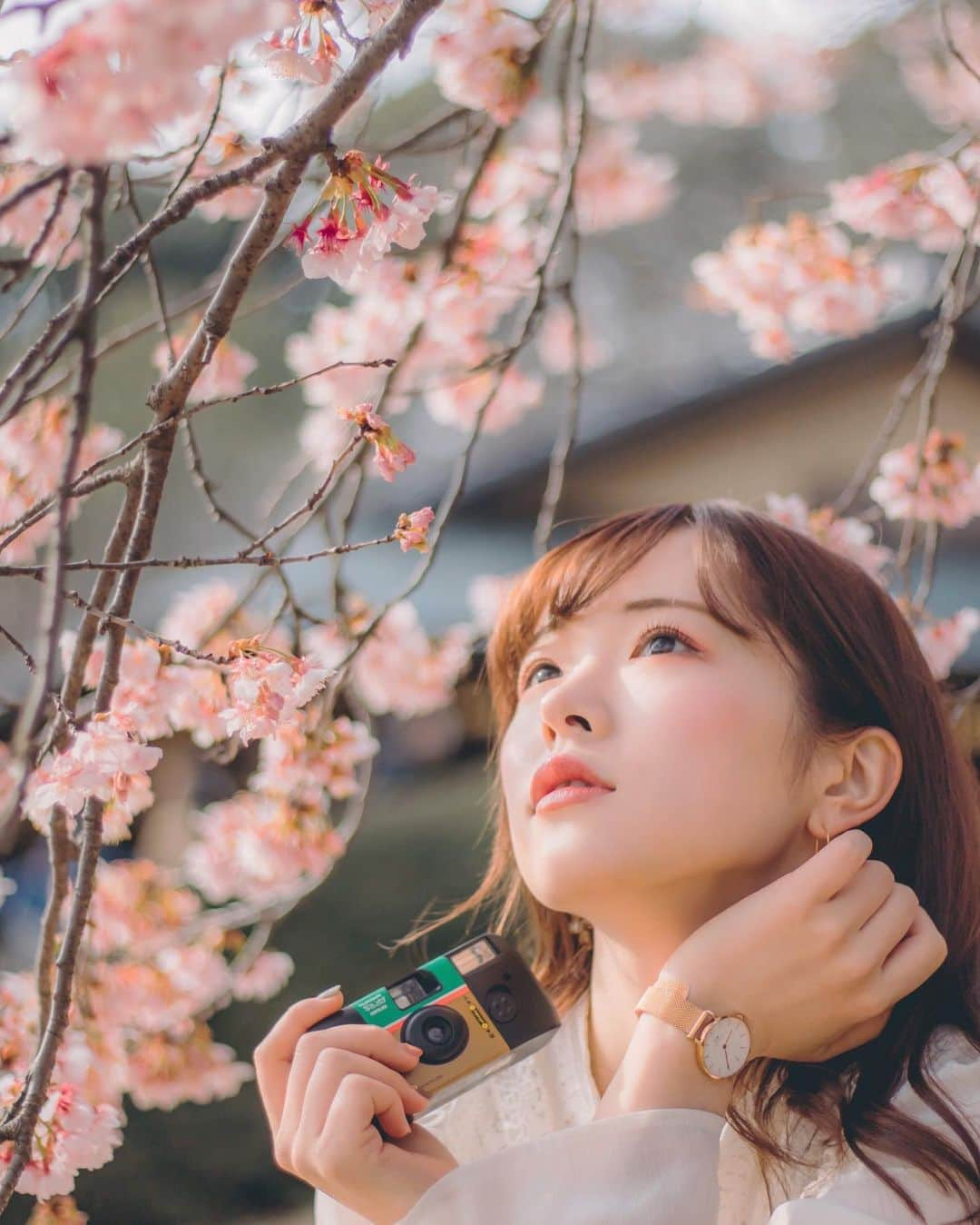 橋本紗奈さんのインスタグラム写真 - (橋本紗奈Instagram)「桜フォト🌸 . 2枚目→2018年 3.4枚目→2019年 5〜8枚目→2020年 . . どんどん幼くなってる気がする😂笑 2021年の桜も楽しみ🌸 . . (以前の写真です) #桜 #桜フォト　#新宿御苑 #お花見 #お花　#お花畑　#ポートレート #portrait #春　#被写体 #被写体モデル #デジカメ #フィルムカメラ #カメラ女子 #ヘアアレンジ　#春コーデ #歴史　#春服　#春ネイル #袴　#卒業式ヘア」2月25日 18時35分 - hashimoto_sana