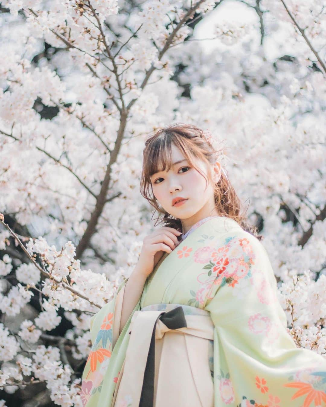 橋本紗奈さんのインスタグラム写真 - (橋本紗奈Instagram)「桜フォト🌸 . 2枚目→2018年 3.4枚目→2019年 5〜8枚目→2020年 . . どんどん幼くなってる気がする😂笑 2021年の桜も楽しみ🌸 . . (以前の写真です) #桜 #桜フォト　#新宿御苑 #お花見 #お花　#お花畑　#ポートレート #portrait #春　#被写体 #被写体モデル #デジカメ #フィルムカメラ #カメラ女子 #ヘアアレンジ　#春コーデ #歴史　#春服　#春ネイル #袴　#卒業式ヘア」2月25日 18時35分 - hashimoto_sana