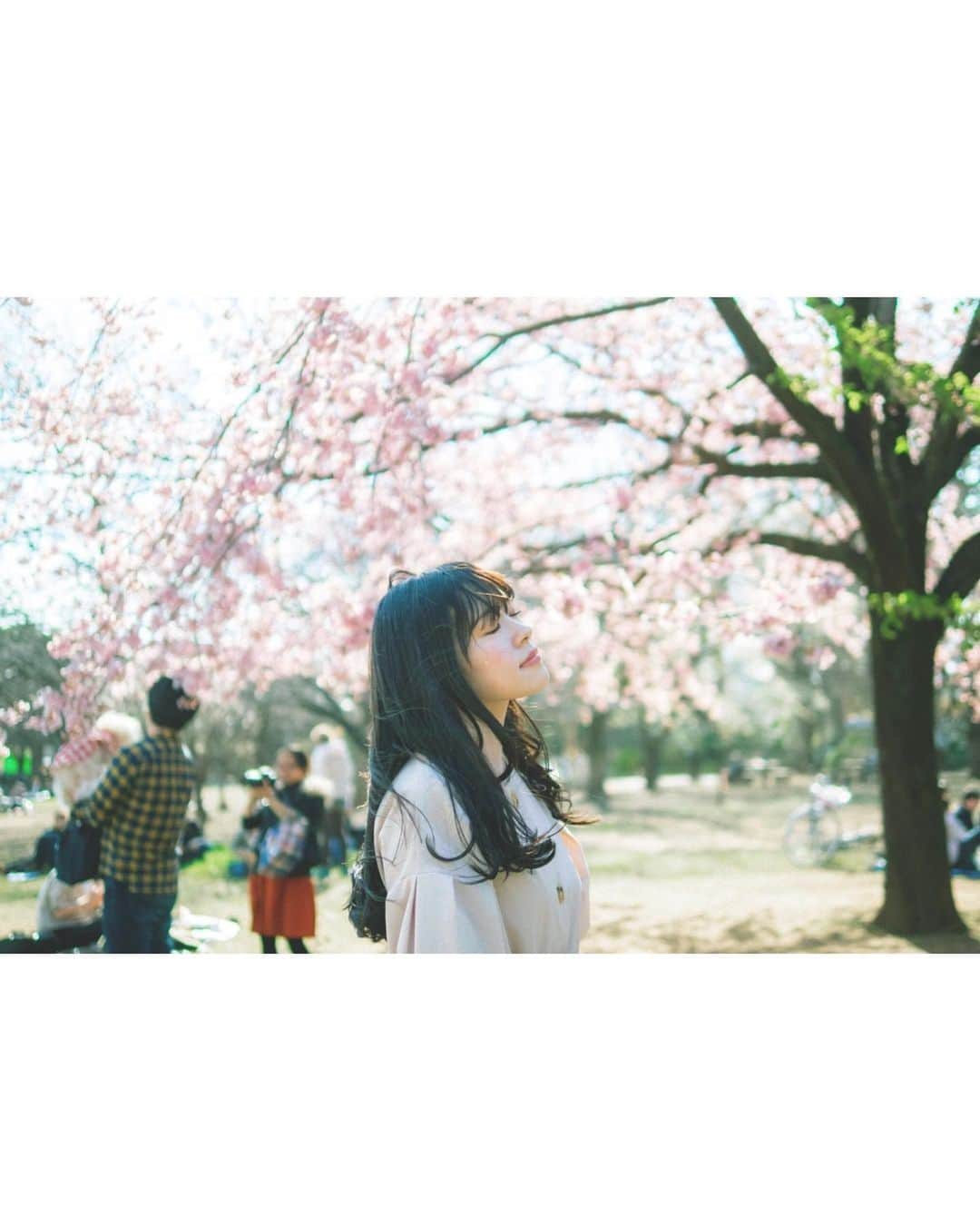 橋本紗奈さんのインスタグラム写真 - (橋本紗奈Instagram)「桜フォト🌸 . 2枚目→2018年 3.4枚目→2019年 5〜8枚目→2020年 . . どんどん幼くなってる気がする😂笑 2021年の桜も楽しみ🌸 . . (以前の写真です) #桜 #桜フォト　#新宿御苑 #お花見 #お花　#お花畑　#ポートレート #portrait #春　#被写体 #被写体モデル #デジカメ #フィルムカメラ #カメラ女子 #ヘアアレンジ　#春コーデ #歴史　#春服　#春ネイル #袴　#卒業式ヘア」2月25日 18時35分 - hashimoto_sana