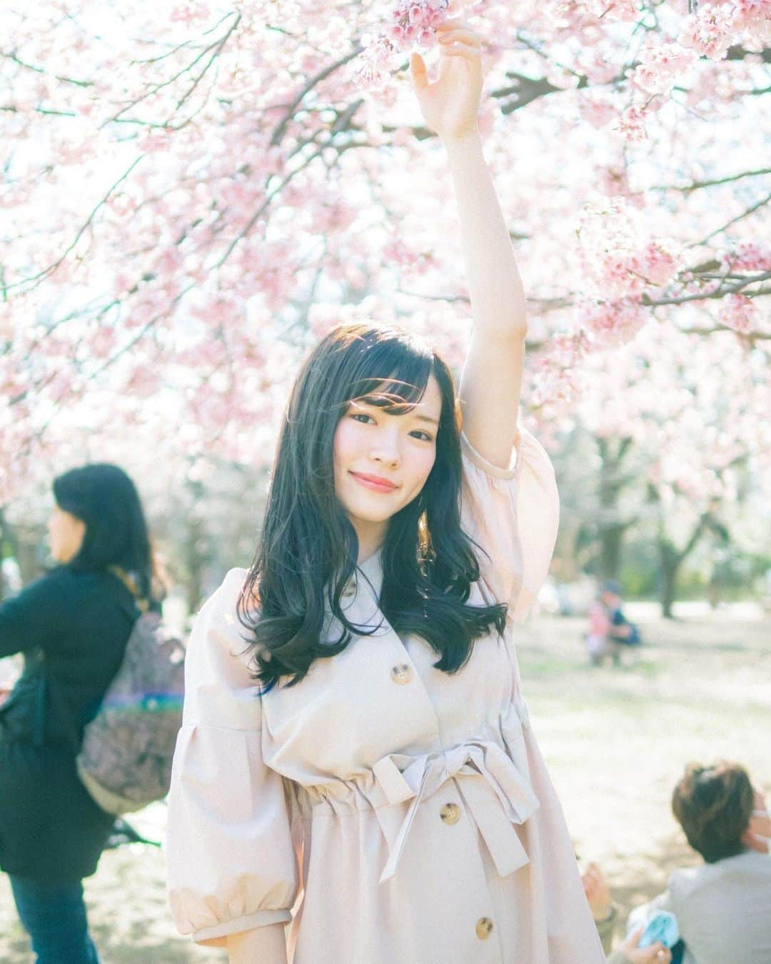 橋本紗奈さんのインスタグラム写真 - (橋本紗奈Instagram)「桜フォト🌸 . 2枚目→2018年 3.4枚目→2019年 5〜8枚目→2020年 . . どんどん幼くなってる気がする😂笑 2021年の桜も楽しみ🌸 . . (以前の写真です) #桜 #桜フォト　#新宿御苑 #お花見 #お花　#お花畑　#ポートレート #portrait #春　#被写体 #被写体モデル #デジカメ #フィルムカメラ #カメラ女子 #ヘアアレンジ　#春コーデ #歴史　#春服　#春ネイル #袴　#卒業式ヘア」2月25日 18時35分 - hashimoto_sana