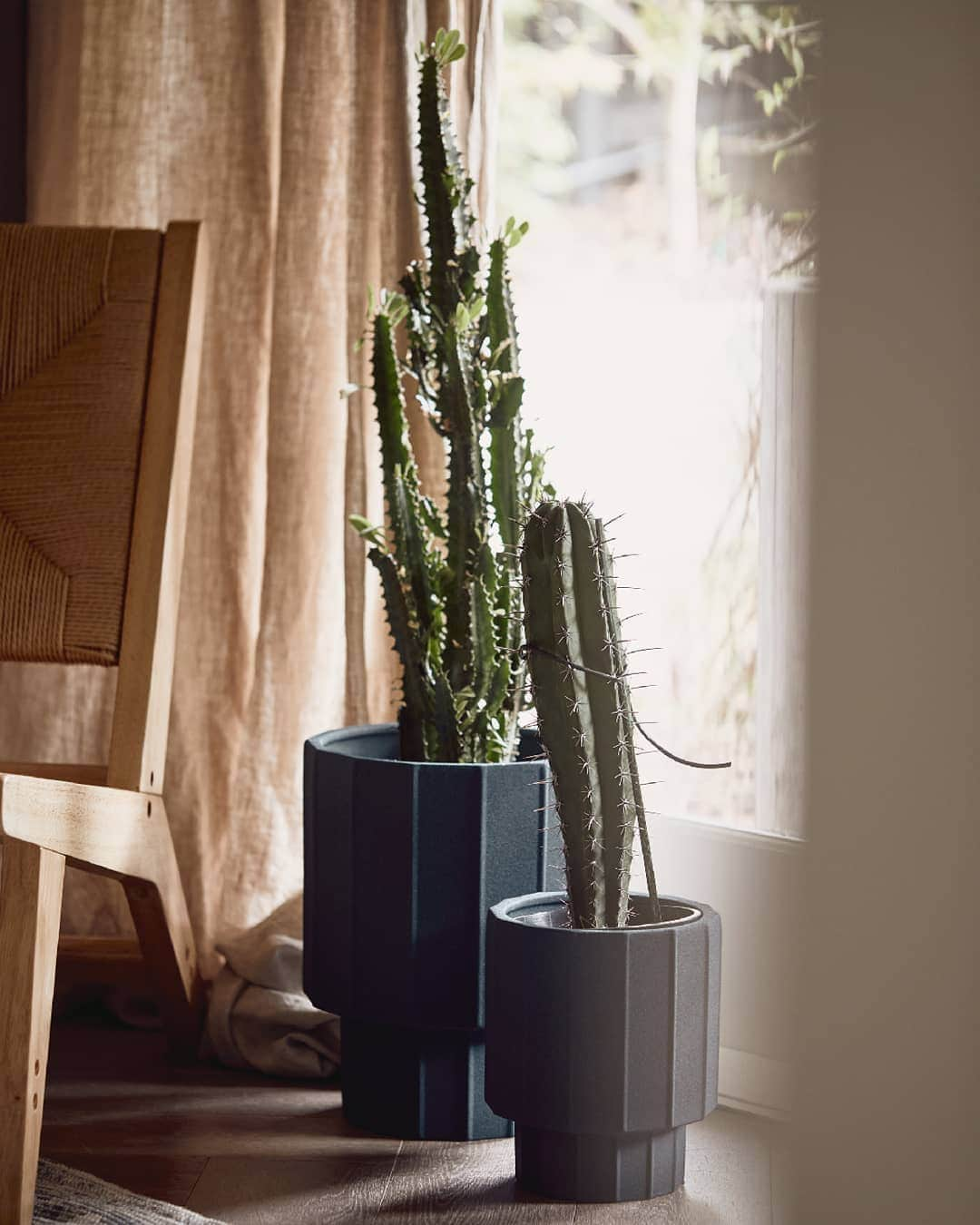 Target Australiaさんのインスタグラム写真 - (Target AustraliaInstagram)「Breathe life and colour into your space with our Caliana planter pots 🎯♥️ #targetaus #targetaushome」2月25日 18時36分 - targetaus