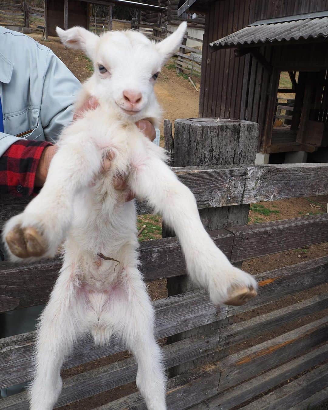 木内晶子のグルメインスタ