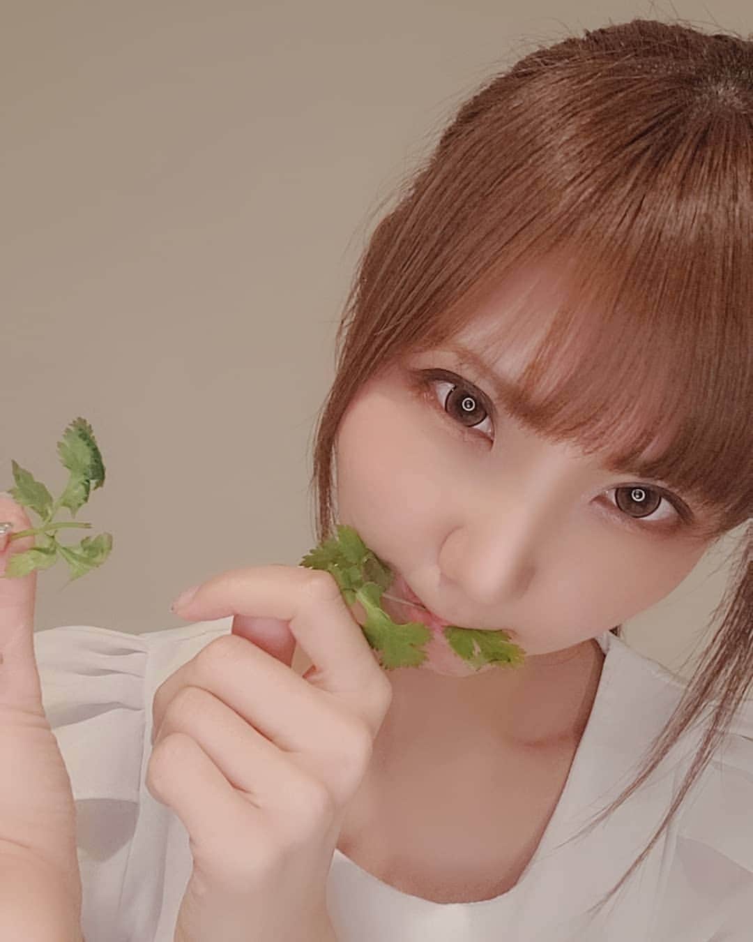 のインスタグラム：「パクチーは食べるだけでどんどん綺麗になる魔法のような食材と聞いて毎日食べてる人🙋 完全国内産OMDアグリのパクチーが食感しっかりでちょうどいいパクチーの癖があり後味はスッキリで無限パクチーしてる🍽☀ パクチーってこんな美味しかったんだって思った😎  https://omd-agri.com/  #農業 #野菜 #model #racequeen #camera #photograph #mc #レースクイーン #モデル #コス #ヘア #style #Japanesegirl #角色扮演 #闲置 #아이돌 #모델 #코스프레 #그라비아 #anime」