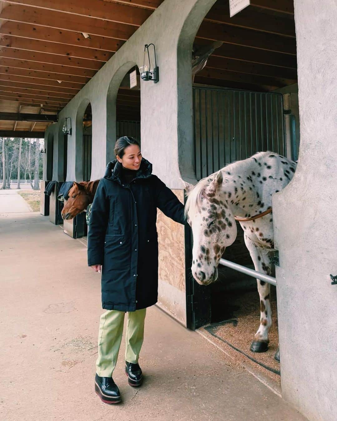 水崎綾女さんのインスタグラム写真 - (水崎綾女Instagram)「ゴルフ帰りに、またお馬さんに会ってきた。キリン柄のお馬さんが可愛すぎたんだ🐴💕 なんだか懐かれていたような気がします…次会った時は乗りたいなぁ。上手に乗せてくれるといいなぁ〜はぁーかわいい。 動物は癒される（´-`）.｡oO * * #乗馬 #馬 #🐴 #お馬 #キリン柄 #🦒」2月25日 19時03分 - misakiayame