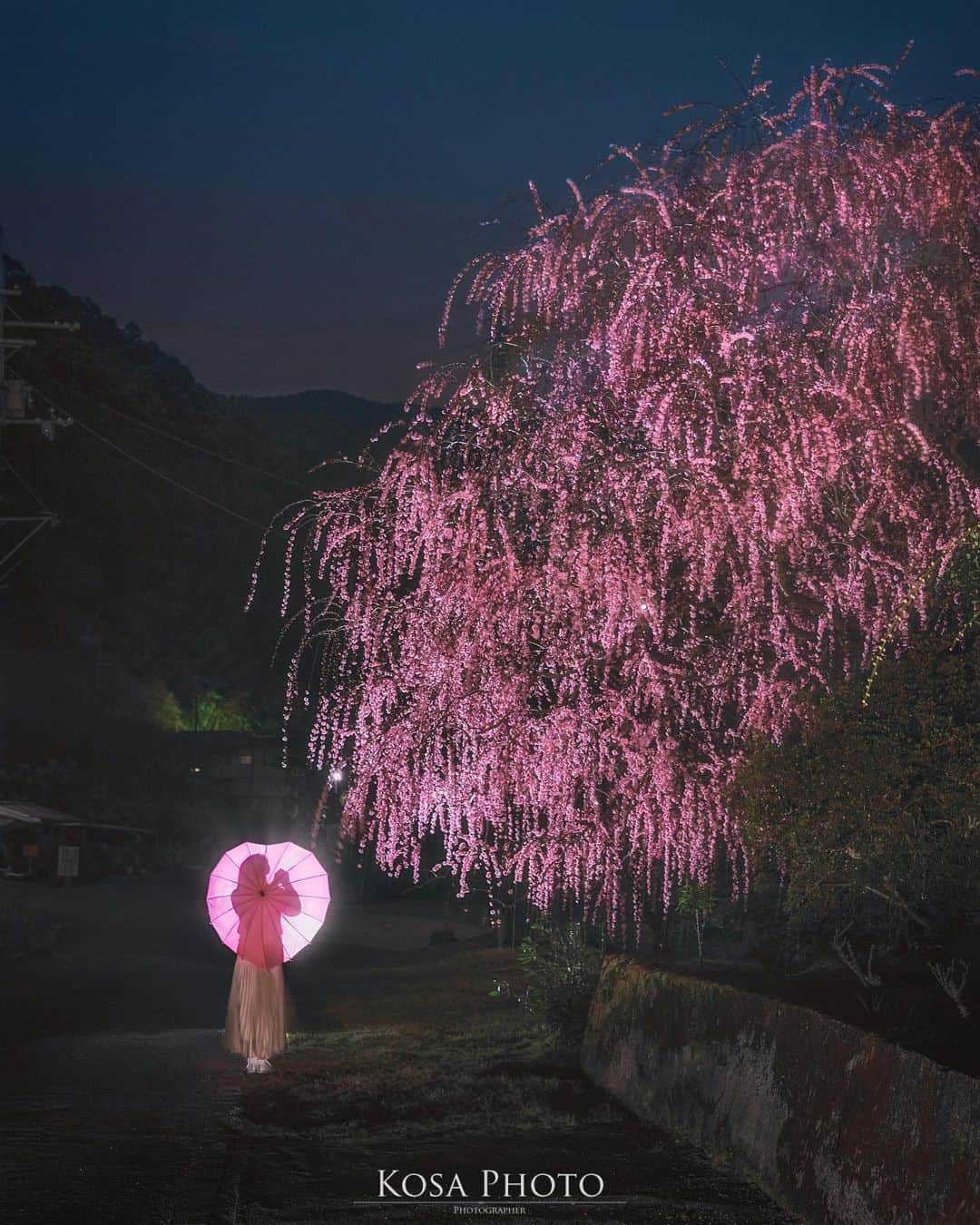 コサさんのインスタグラム写真 - (コサInstagram)「夜梅花 夜にこっそりお邪魔してきました😌 夜でも美しい、立派なしだれ梅でした🙋‍♂️ . Location:奈良  Nara / Japan🇯🇵 Date:2021年2月 . #japan_night_view_member #ポトレ撮影隊 #i_c_part #jp_mood #jp_portrait部 #nightshooters #乗り越えようnippon #ニコン #写真は私の原動力 #arrowsあなたが夢中な世界 #tokyocameraclub #team_jp_ #photo_jpn #ptk_japan #bestjapanpics #Lovers_Nippon #light_nikon #Rox_Captures #nipponpic_member #広がり同盟メンバー #ap_japan_ #sorakataphoto  #LBJ_Legend #special_spot_legend #s_shot #japan_of_insta #bestphoto_japan #1x_japan #IGersJP #beautiful_photo_jpn」2月25日 19時01分 - kosa_photo