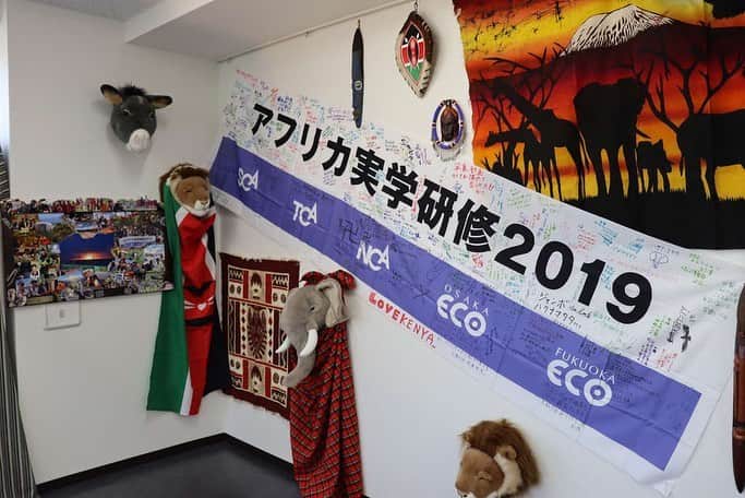 【公式】東京コミュニケーションアート専門学校ECOさんのインスタグラム写真 - (【公式】東京コミュニケーションアート専門学校ECOInstagram)「.﻿ ﻿ 卒業・進級制作発表会﻿ 『we are TCA ECO 2021』の様子を﻿ ご紹介します💁🏻‍♀️﻿ ﻿ 第１校舎６階﻿ 動物飼育ワールド🐨🌿﻿ 企業プロジェクト展示﻿ 小動物展示﻿ ﻿ 公園をモチーフにした展示場の中に﻿ パンダマウスやハリネズミがいたり、﻿ アフリカ海外研修ガイドブックが﻿ 展示されていました🐘﻿ ﻿ ﻿ ・－・－・－・－・－・－・－・－・﻿ ﻿ 学校説明会やオープンキャンパスも実施しております🏫﻿ ぜひご参加ください🗣﻿ ﻿ ・－・－・－・－・－・－・－・－・﻿ ﻿ #tca東京eco動物海洋専門学校 #tcaeco #動物 #海洋 #ペット#自然環境#恐竜#専門学校#卒業進級制作発表会#卒業制作#進級制作#発表会#発表#wearetcaeco#wearetca#weare#オープンキャンパス#oc#動物飼育ワールド#動物園動物飼育専攻 #動物飼育#飼育#展示#パンダマウス#ハリネズミ#アフリカ#海外研修#海外#研修#進路」2月25日 19時06分 - tca_eco