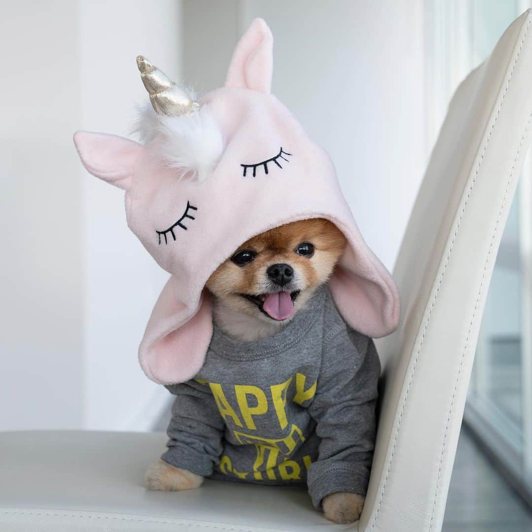 jiffのインスタグラム：「💗」