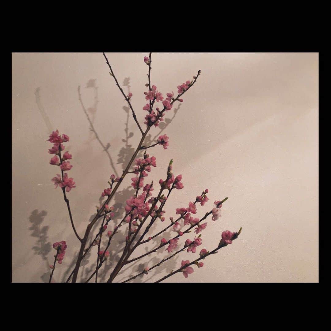吉川愛さんのインスタグラム写真 - (吉川愛Instagram)「☺︎ クランクアップとはやはり何回やっても寂しいですね、 私は次のお仕事の準備に入ります！ 頑張るぞ〜✨」2月25日 19時17分 - ai_yoshikawa_official