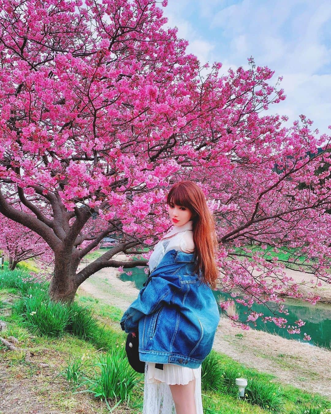 桜木ひなのインスタグラム：「ありがとう河津桜さん🌸💕 ・ #ootd#桜#桜並木#河津桜#fashion#photo #バレンシアガ#バレンティノ#ジージャン#コーデ#さくら#japan#お出掛けスポット #お出掛け#春##春コーデ #春服 #春コーディネート #桜ポートレート #桜シリーズ #桜木ひな#桜写真#ワンコ#ワンコlove#ワンコのいる生活 #ワンコとお出かけ #ワンコと旅行 #チワワのいる暮らし #aumo」