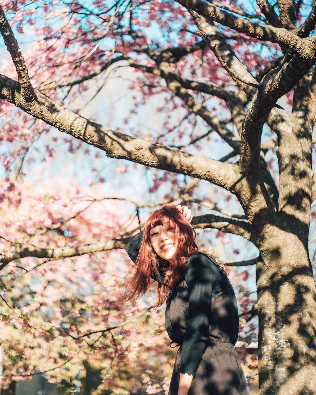 haru wagnusさんのインスタグラム写真 - (haru wagnusInstagram)「Sakura flow  ㅤㅤㅤㅤㅤㅤㅤㅤㅤㅤㅤㅤㅤ ㅤㅤㅤㅤㅤㅤㅤㅤㅤㅤㅤㅤㅤ ㅤㅤㅤㅤㅤㅤㅤㅤㅤㅤㅤㅤㅤ  大切な思いを、大切な人に伝えるのって本当に難しい。 だからこそ、想いを伝える日も大切に思った。 ㅤㅤㅤㅤㅤㅤㅤㅤㅤㅤㅤㅤㅤ ㅤㅤㅤㅤㅤㅤㅤㅤㅤㅤㅤㅤㅤ #summilux35mm2nd  #LeicaM10P ㅤㅤㅤㅤㅤㅤㅤㅤㅤㅤㅤㅤㅤ ㅤㅤㅤㅤㅤㅤㅤㅤㅤㅤㅤㅤㅤ  #fashionphotography #fashion #model #hueart_life #pcFace #phos_japan #thediscoverer  #good_portraits_world  #film_com #vscox #inspirationcultmag  #pics_jp#good_portraits_world #agameoftone #artofvisuals #createxplore #estheticlabel #creatcommune  #shzzz_hub #phos_japan #桜　#河津桜 #代々木公園　#ライカ #sakura #japansakura」2月25日 19時26分 - wagnus