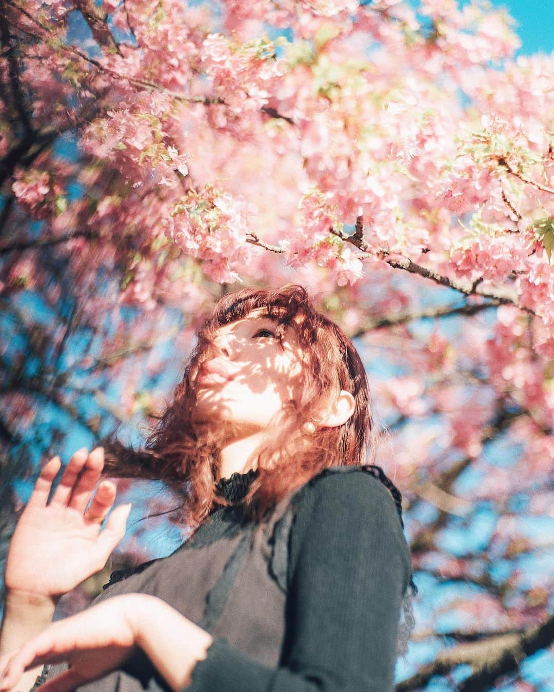 haru wagnusのインスタグラム：「Sakura flow  ㅤㅤㅤㅤㅤㅤㅤㅤㅤㅤㅤㅤㅤ ㅤㅤㅤㅤㅤㅤㅤㅤㅤㅤㅤㅤㅤ ㅤㅤㅤㅤㅤㅤㅤㅤㅤㅤㅤㅤㅤ  大切な思いを、大切な人に伝えるのって本当に難しい。 だからこそ、想いを伝える日も大切に思った。 ㅤㅤㅤㅤㅤㅤㅤㅤㅤㅤㅤㅤㅤ ㅤㅤㅤㅤㅤㅤㅤㅤㅤㅤㅤㅤㅤ #summilux35mm2nd  #LeicaM10P ㅤㅤㅤㅤㅤㅤㅤㅤㅤㅤㅤㅤㅤ ㅤㅤㅤㅤㅤㅤㅤㅤㅤㅤㅤㅤㅤ  #fashionphotography #fashion #model #hueart_life #pcFace #phos_japan #thediscoverer  #good_portraits_world  #film_com #vscox #inspirationcultmag  #pics_jp#good_portraits_world #agameoftone #artofvisuals #createxplore #estheticlabel #creatcommune  #shzzz_hub #phos_japan #桜　#河津桜 #代々木公園　#ライカ #sakura #japansakura」