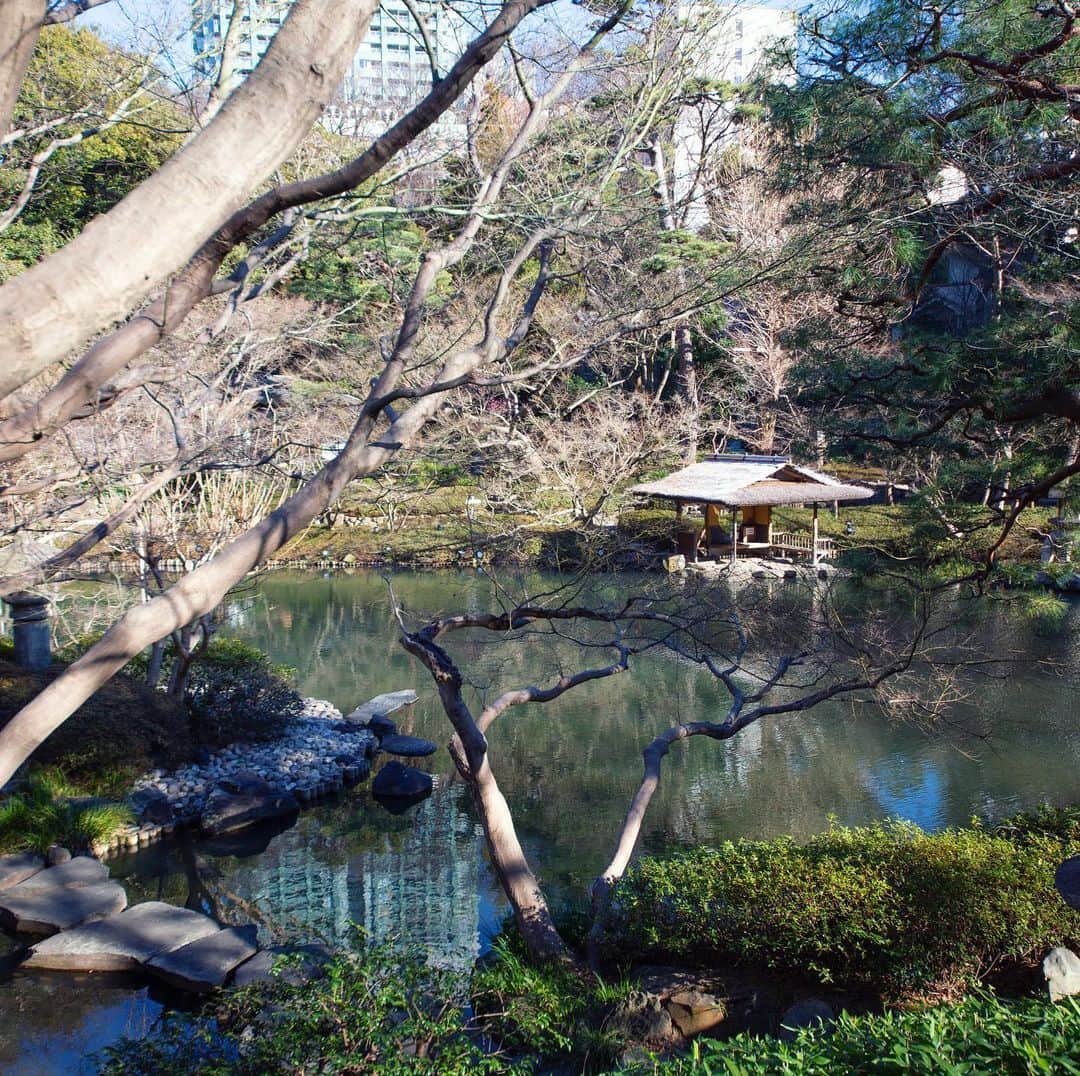 八芳園さんのインスタグラム写真 - (八芳園Instagram)「応募締め切りは2月28日(日)📸❄️ TOKYO WINTER GARDEN 2021 フォトコンテスト . 晴天のなか八芳園の日本庭園では 河津桜は満開を迎えております。 . 八芳園 Instagramで開催しているフォトコンテストは 応募締め切りまであと3日。 . テーマは「冬」。 撮影時期・場所は問いません。 . 自由な発想で表現した 素晴らしい投稿をお待ちしております。 . 入賞者には八芳園でのお食事券をご用意しております。 ぜひお気軽にご応募くださいませ！ . —————— . ■TOKYO WINTER GARDEN 賞 ENJYUコース ペアチケット １組２名様 . ■WINTER BLUE 賞 Thrush Café アフターヌーンティー １組２名様 . ■冬こだち 賞 Thrush Café デザートプレート ２組４名様 . ■冬青 賞 Thrush Café オリジナルカクテル ５組10名様 . . ❄️応募方法 . 1.八芳園公式インスタグラムアカウント(@happoen) をフォロー . 2.「冬」をテーマにした写真・動画に 「#tokyowintergarden2021」のタグをつけて Instagramに投稿してください。 . ※八芳園以外で撮影した写真も可能です。 ※フォローとハッシュタグの両方が必要となります ※投稿者様のSNSアカウントが非公開設定の場合は、 無効となりますのでご注意ください。 . . ❄️応募期間 . 2020年12月20日(日)～2021年2月28日(日)23時59分まで . ❄️注意事項 . ・必ずご自身で撮影した写真・動画をご応募ください。 ・当選された方へは3月中旬頃までにDMにてご連絡いたします。 ・当選の発表から期日までにご連絡のない場合は当選を取消しとさせていただきます。 ・ご応募は日本国内にお住まいの方に限らせていただきます。 . ご不明な点やご質問がございましたら、 コメント・DMにてお尋ねください。 . . #八芳園 #結婚式場 #日本庭園 . #フォトコンテスト #フォトコン #キャンペーン実施中  . #東京観光 #東京カメラ部 #カメラ好きな人と繋がりたい #写真好きな人と繋がりたい #ファインダー越しの私の世界 #その瞬間に物語を #いまそら #キリトリセカイ #風景写真 #写真で伝えたい私の世界 #写真撮ってる人と繋がりたい #カメラ女子 #カメラ初心者 #カメラのある生活 #カメラ男子 #カメラ練習中 #写真撮影 . #japanesegarden #tokyotrip #japan_of_insta #japantravel #jp_mood #jp_views」2月25日 19時31分 - happoen