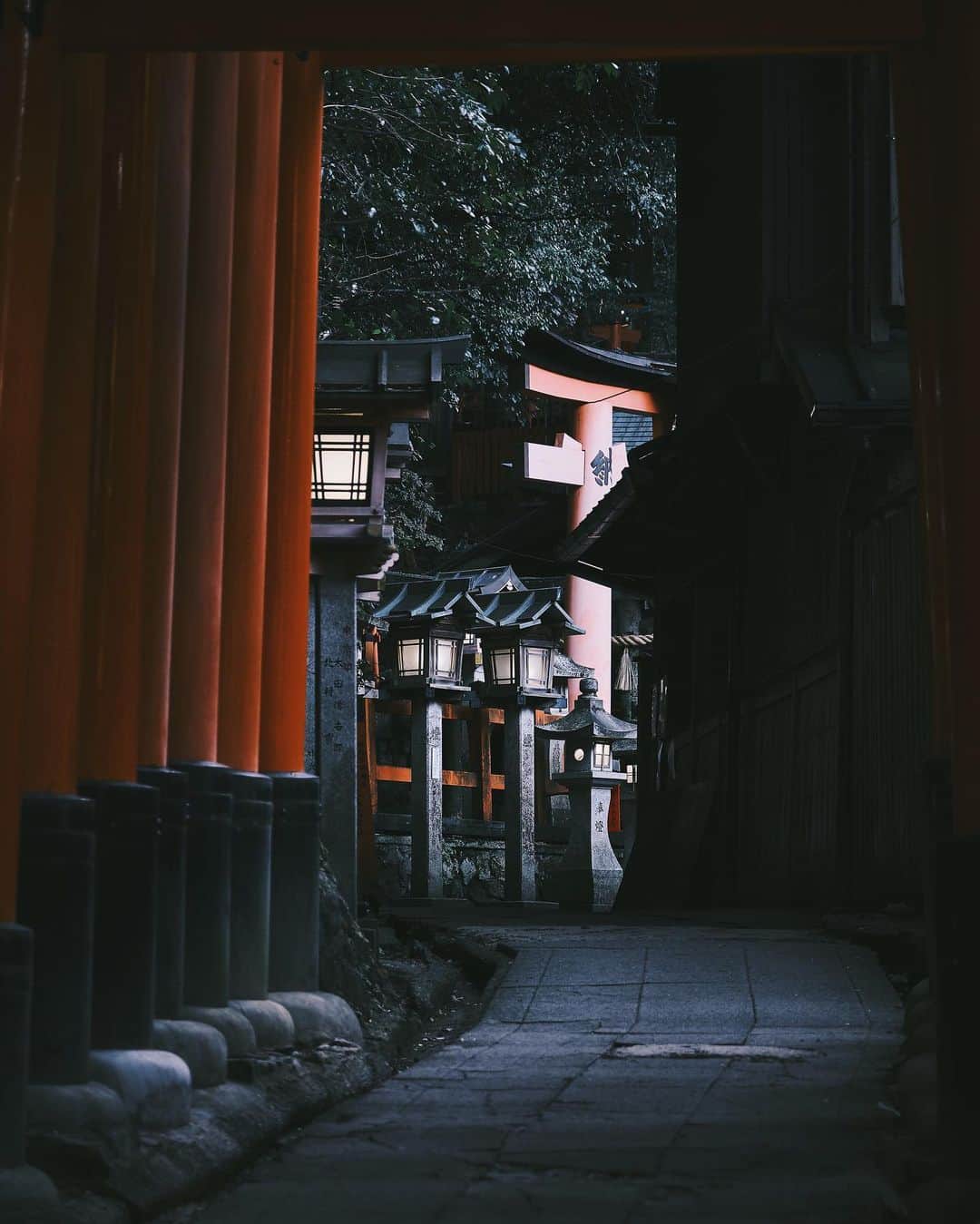 plus_thinkingのインスタグラム：「狐の通り道 . camera: X-T3 lens: FUJINON  XF16-80㎜F4 R OIS WR . #beautifuljapan #snapJapan」